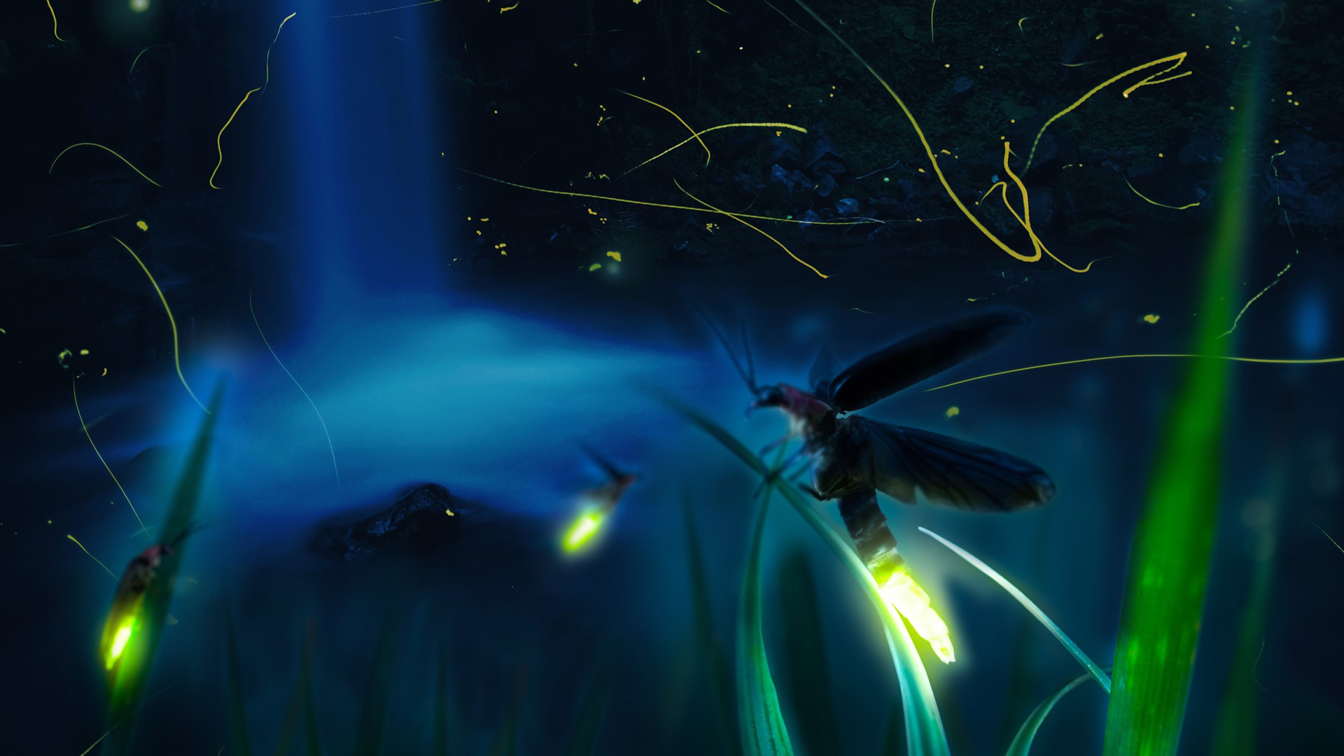 イメージ画像（以下同）