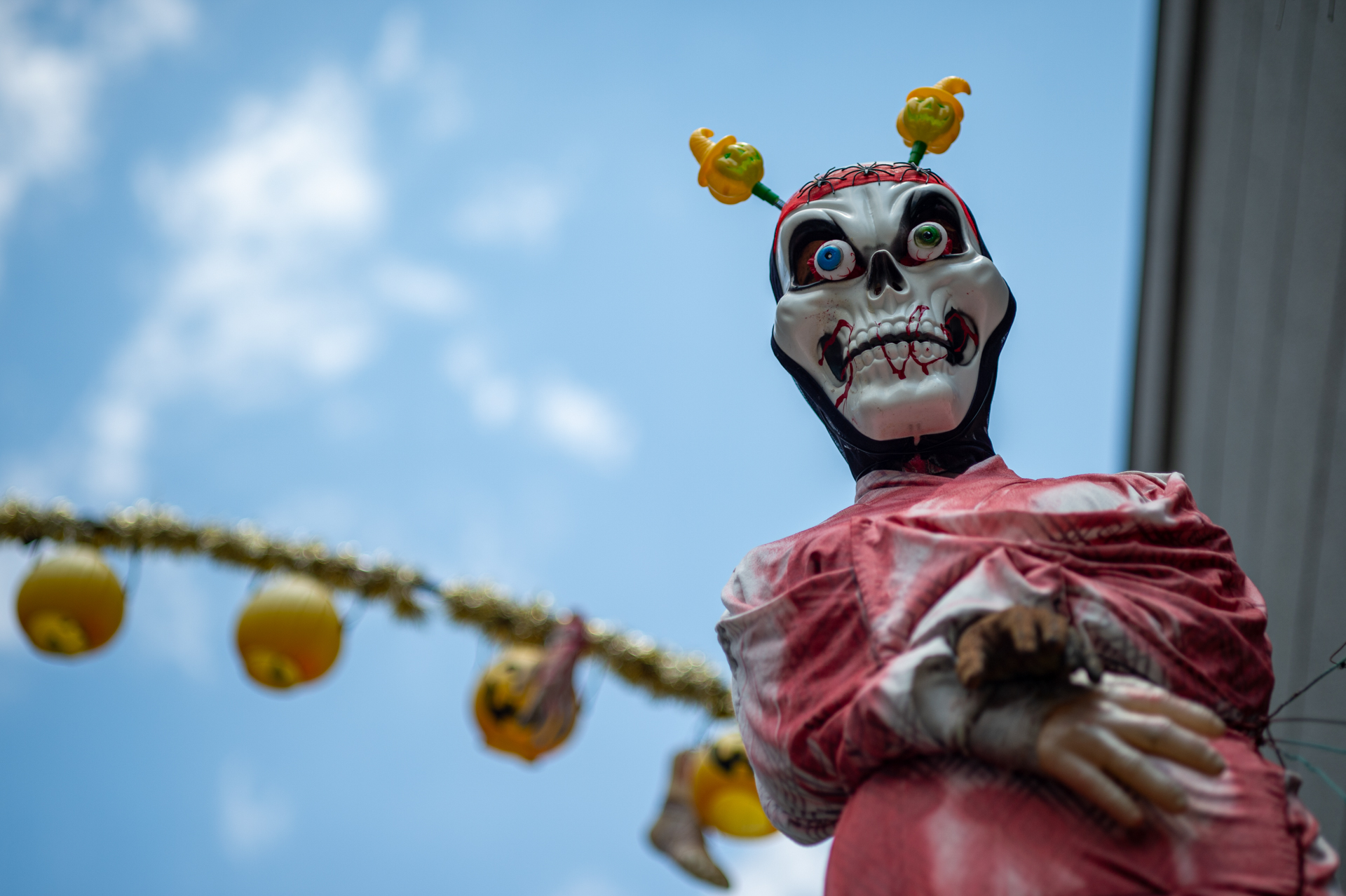 トップからの光で写りはどうかなと思いましたが、良い再現です。階調の繋がりがいいのですね。<br><span class="fnt-85">ニコン Df／タムロン 90mm F2.5マクロ [Model52BB]／90mm／絞り優先AE（1/2,500秒、F2.5、±0.0EV）／ISO 100</span>