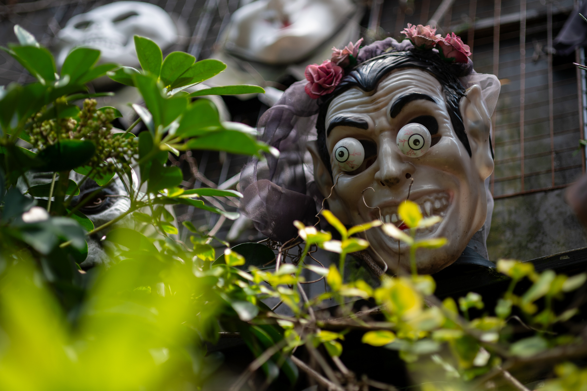 前後ボケも自然です。光線はあまり綺麗ではありませんがコントラスト良好で整った描写です。<br><span class="fnt-85">ニコン Df／タムロン 90mm F2.5マクロ [Model52BB]／90mm／絞り優先AE（1/640秒、F2.5、−0.7EV）／ISO 100</span>