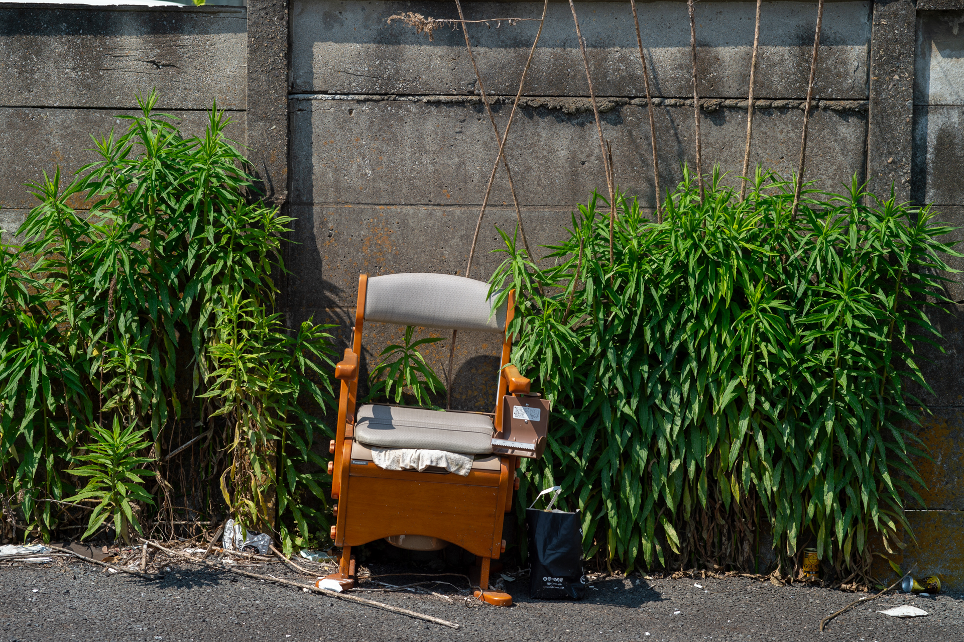 椅子と草。こういう光景と出会うと夏を感じますが余分なものを排除する印象です。<br><span class="fnt-85">ニコン Df／タムロン 90mm F2.5マクロ [Model52BB]／90mm／絞り優先AE（1/250秒、F8.0、−1.0EV）／ISO 100</span>