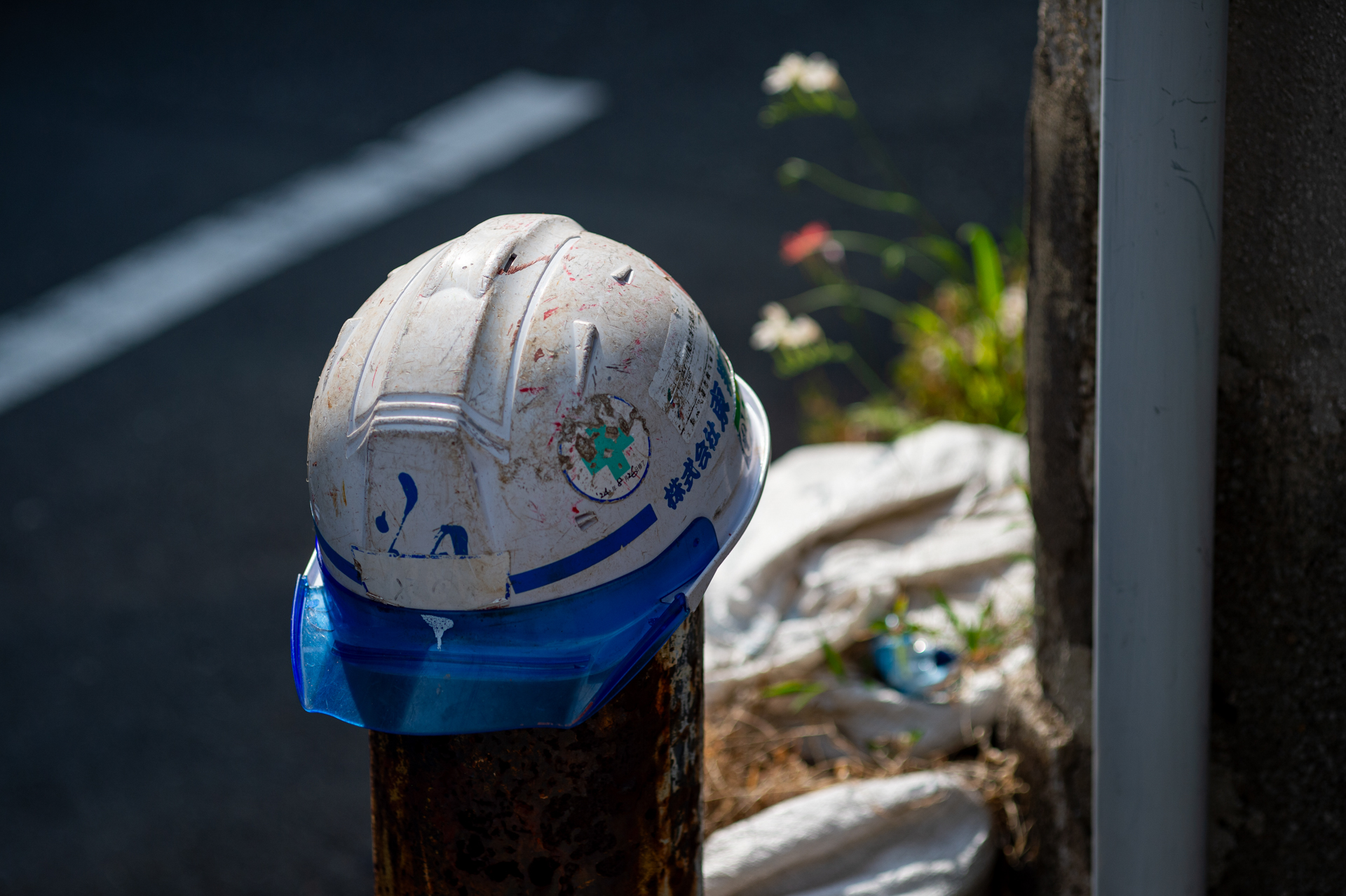 背景がうるさいからワイドレンズでは撮らなかったでしょうねえ。逆光でも階調が良い感じにつながります。これは嬉しい。<br><span class="fnt-85">ニコン Df／タムロン 90mm F2.5マクロ [Model52BB]／90mm／絞り優先AE（1/3,200秒、F2.8、−0.7EV）／ISO 200</span>