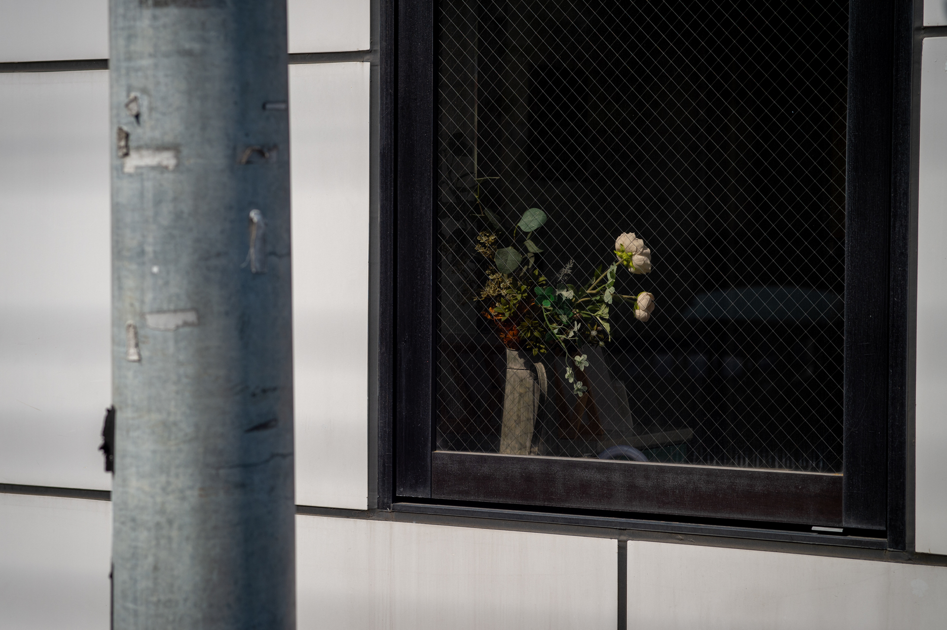 この被写体では、糸巻き型の歪曲収差をわずかに感じました。明暗大きくても良い描写です。<br><span class="fnt-85">ニコン Df／タムロン 90mm F2.5マクロ [Model52BB]／90mm／絞り優先AE（1/1,000秒、F5.6、−1.0EV）／ISO 200</span>