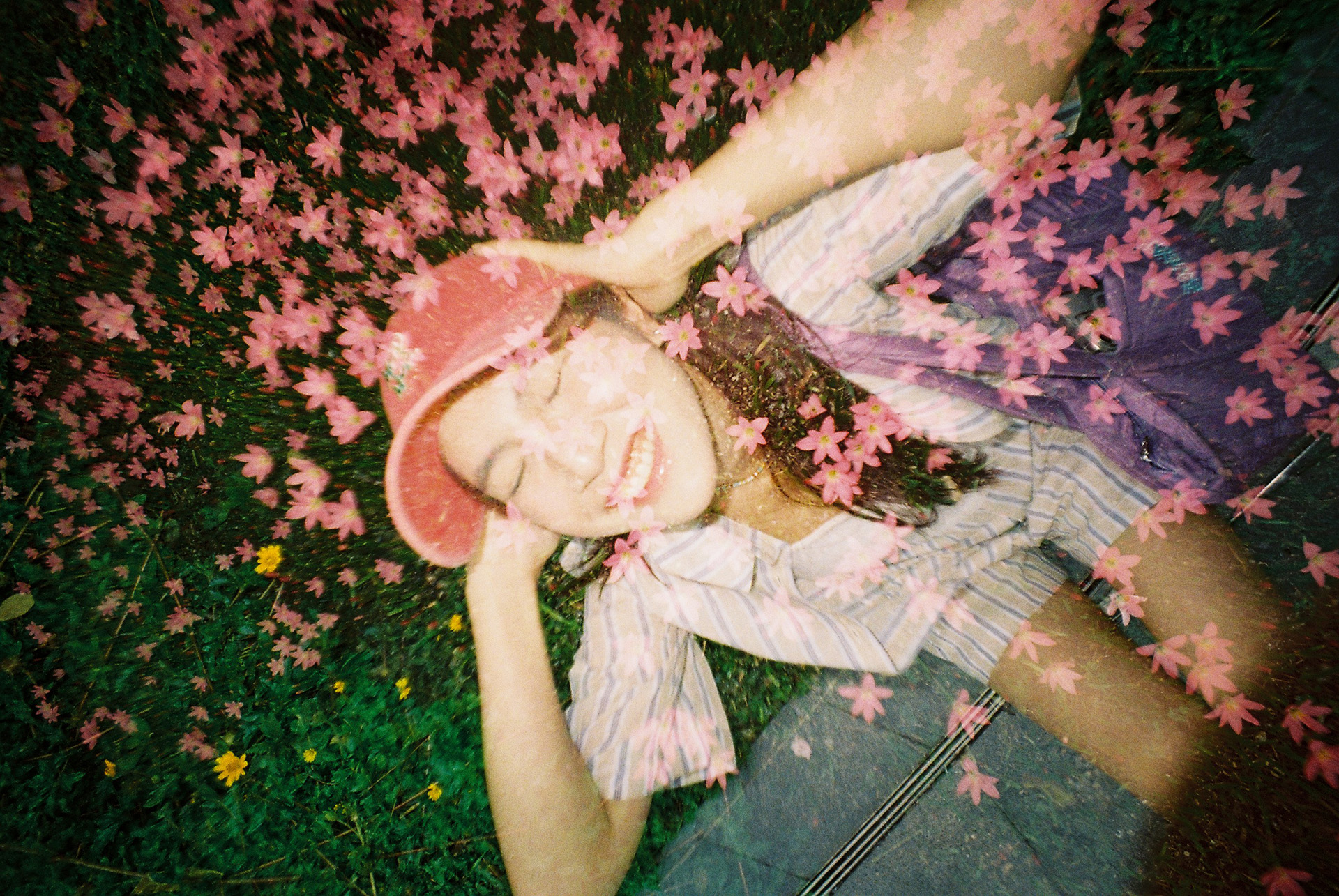 提供：株式会社ロモジャパン