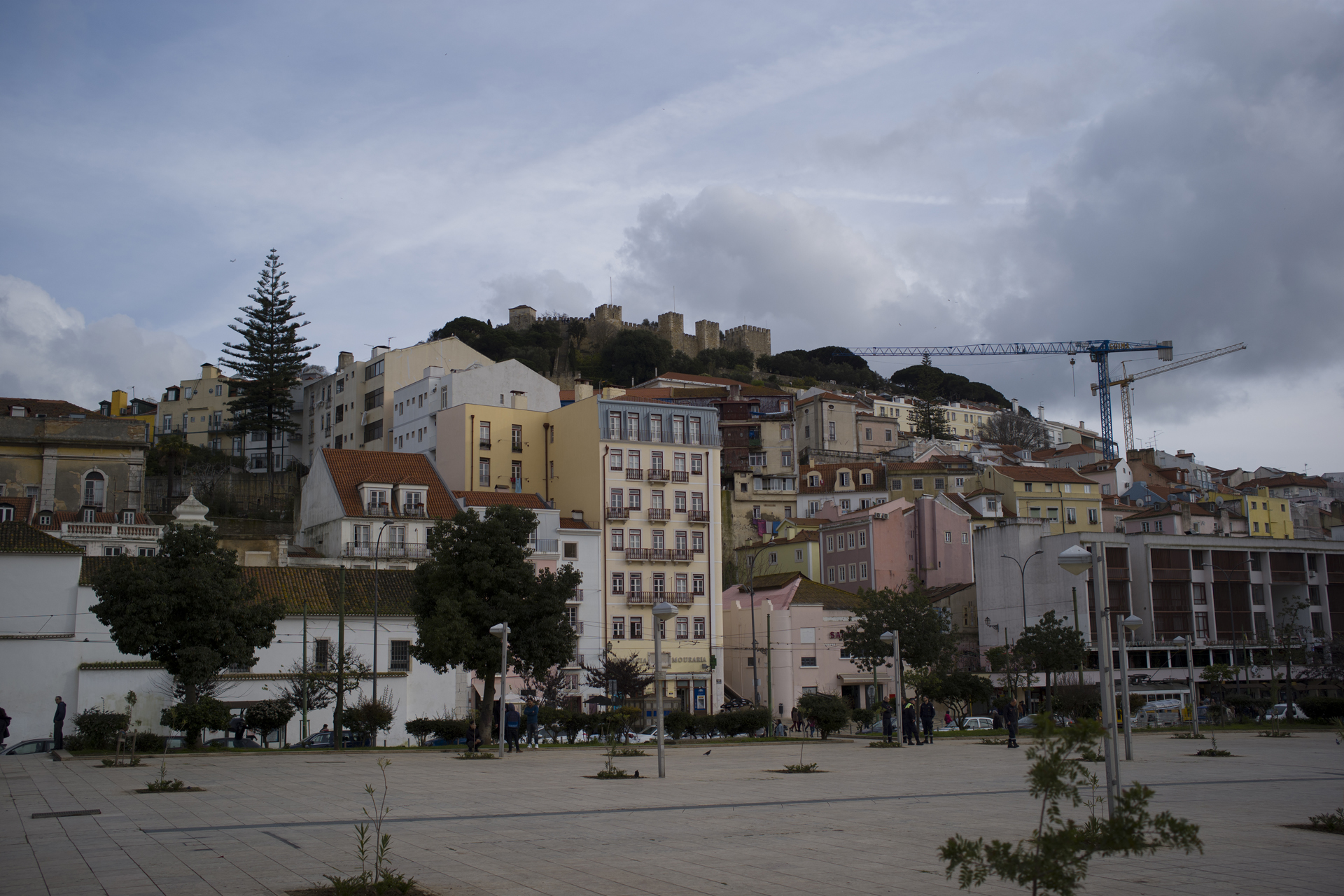 提供：株式会社コシナ　撮影：松田敏美