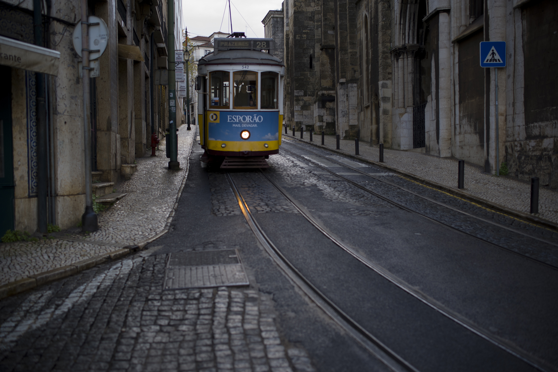 提供：株式会社コシナ　撮影：松田敏美