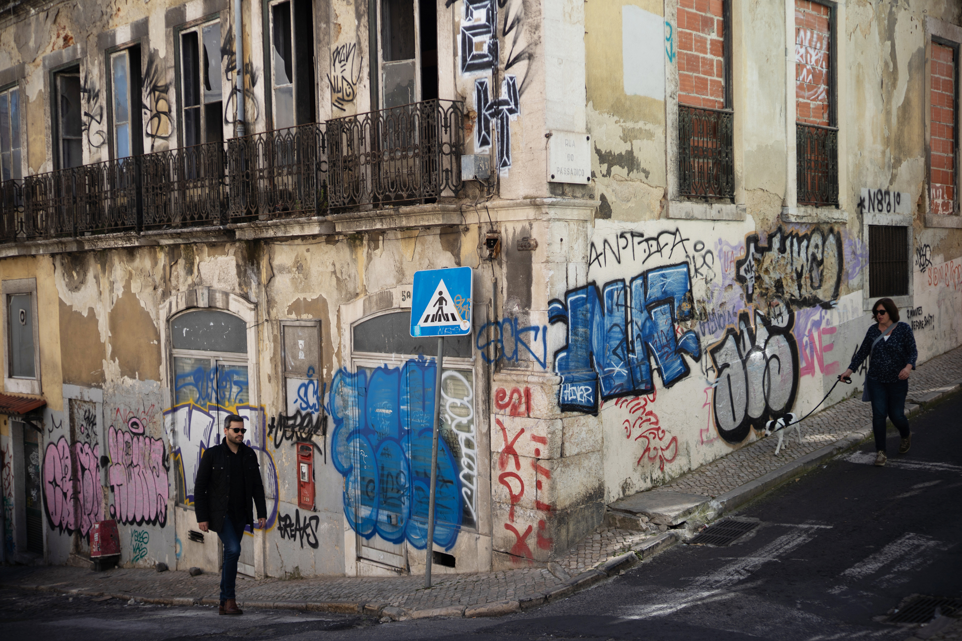 提供：株式会社コシナ　撮影：大村英明