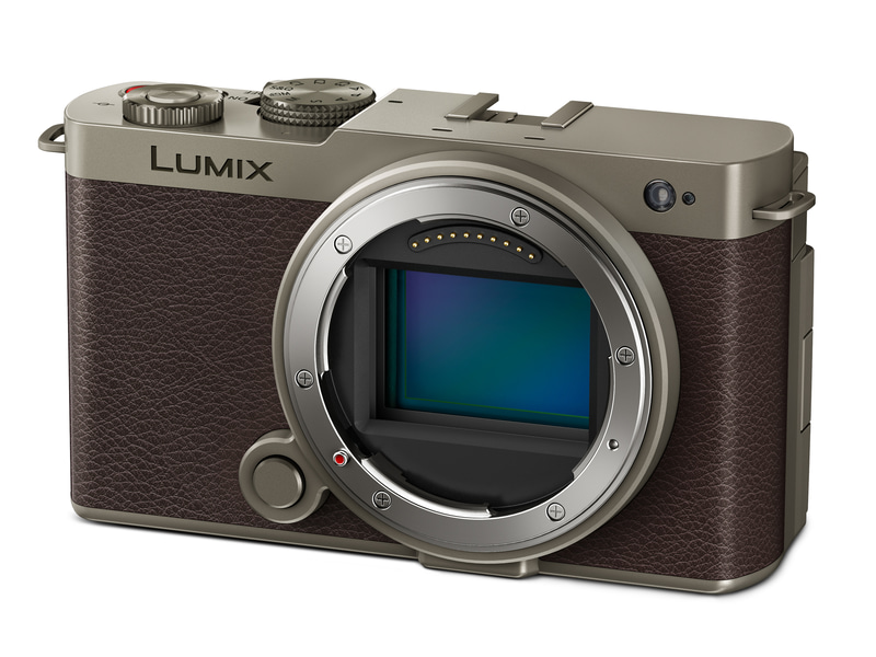 【美品】 Nova Drum C Golden Gate 9 美品】 Nova Drum C Golden Gate 9