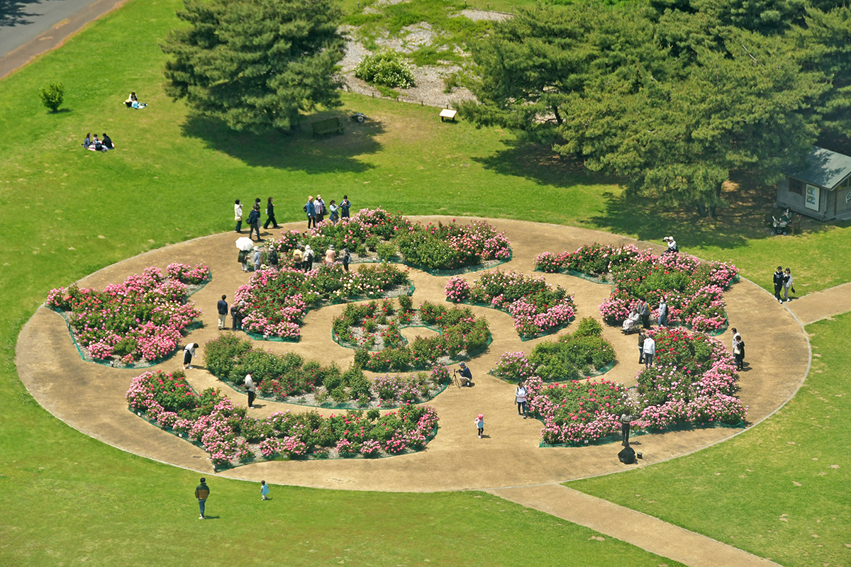 ローズレリーフガーデン