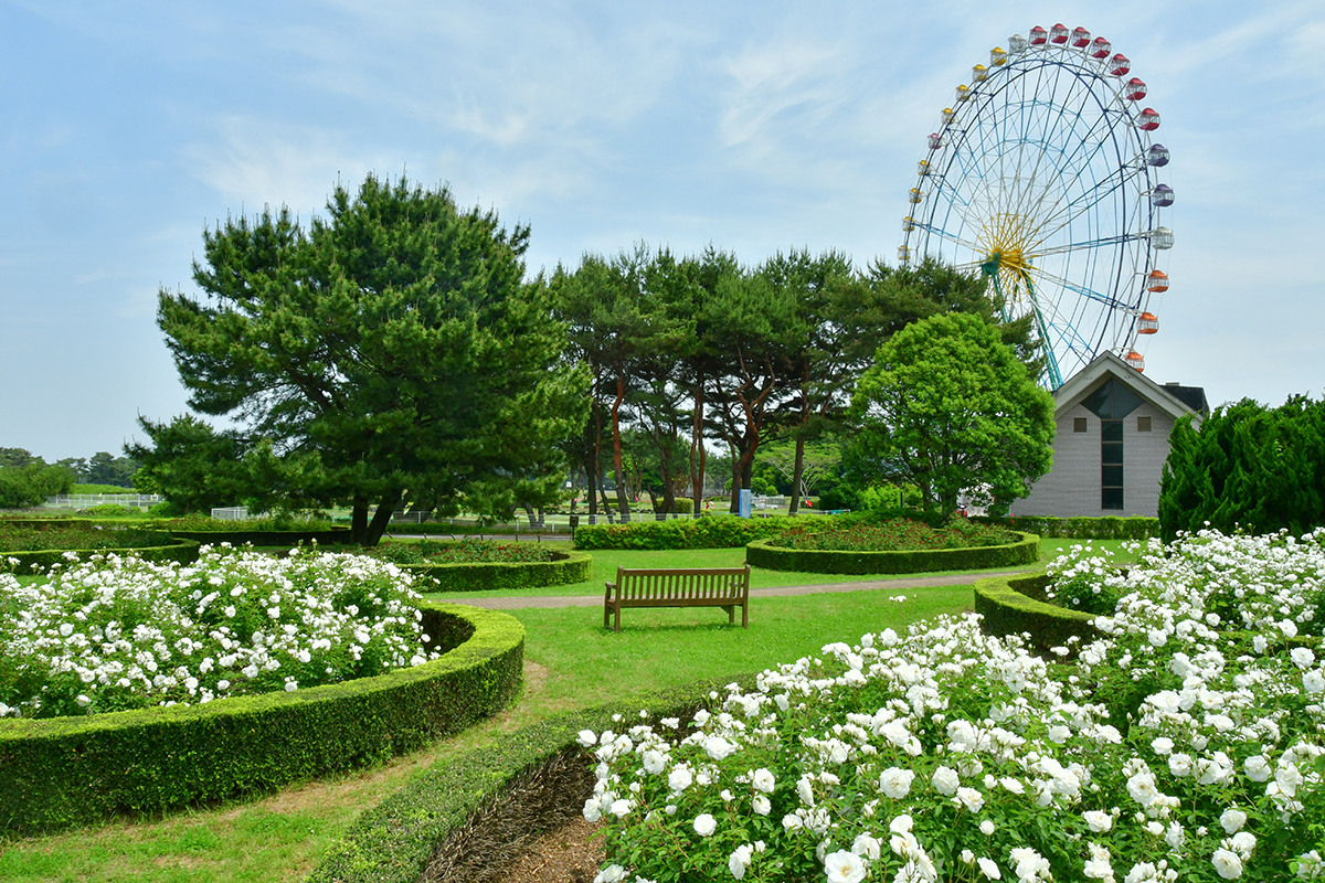 リラクゼーションガーデン