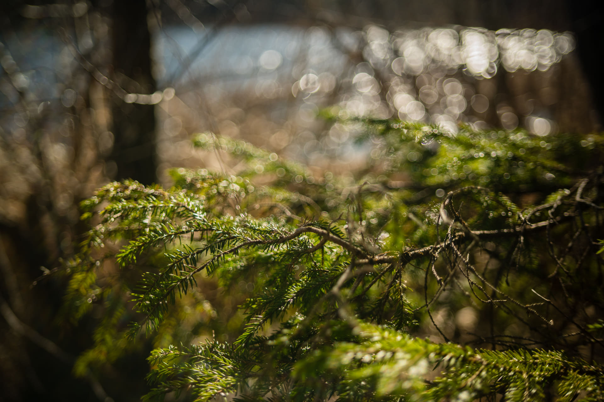 提供：株式会社焦点工房