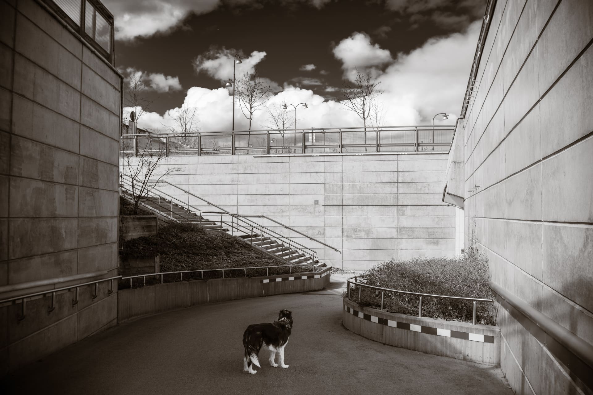 提供：株式会社焦点工房