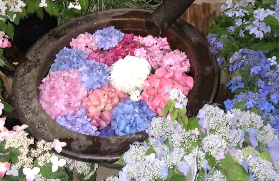 花手水（イメージ）