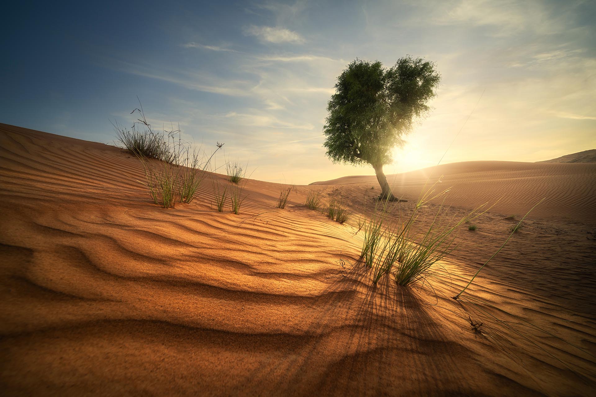 作例提供：株式会社焦点工房