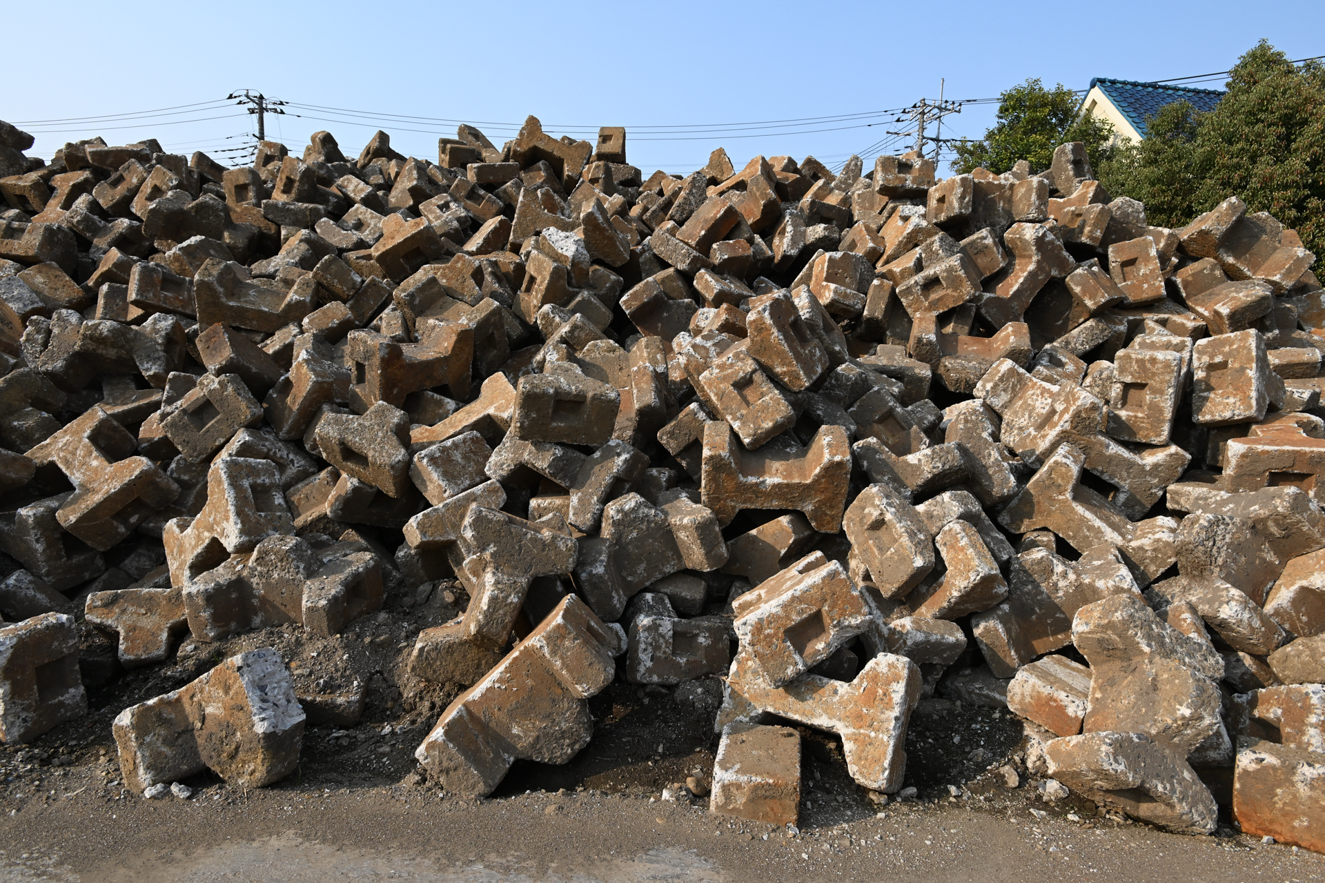 FTZアダプターを用いて、Fマウントニッコールを装着してみました。レンズ内モーターのAF-S17-35mm F2.8を使いました。条件によってはフリンジも出ますけど、ここでは問題ありません。<br><span class="fnt-85">ニコン Z5II／AI AF-S Zoom-Nikkor 17-35mm f/2.8D IF-ED／プログラムAE（1/500秒、F11、−0.3EV）／ISO 400</span>