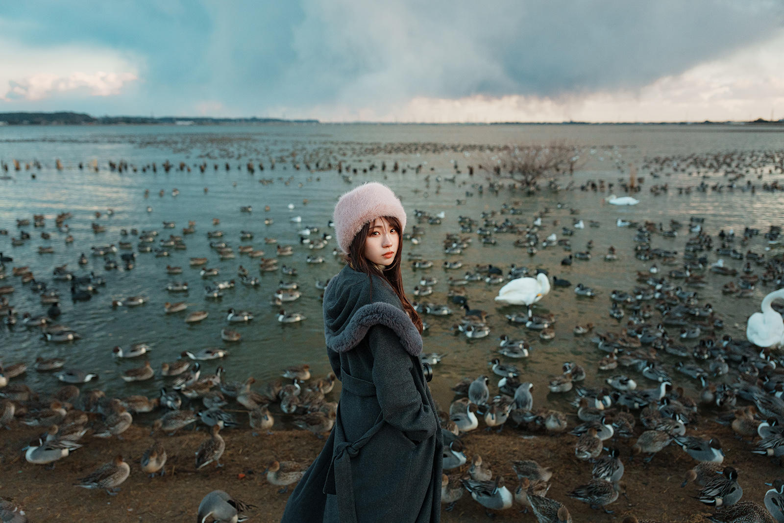 提供：株式会社レイクプラッツ