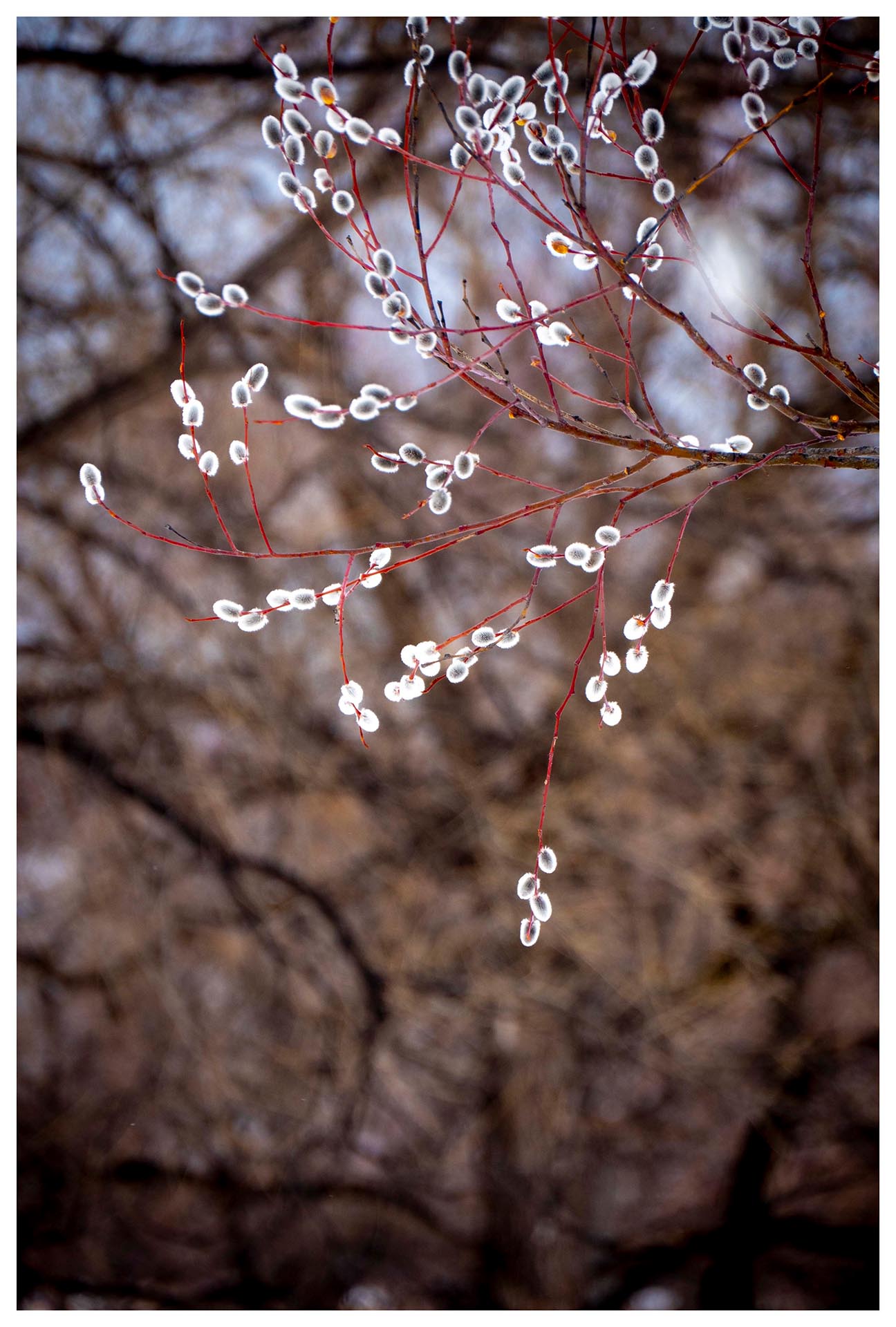提供：株式会社焦点工房