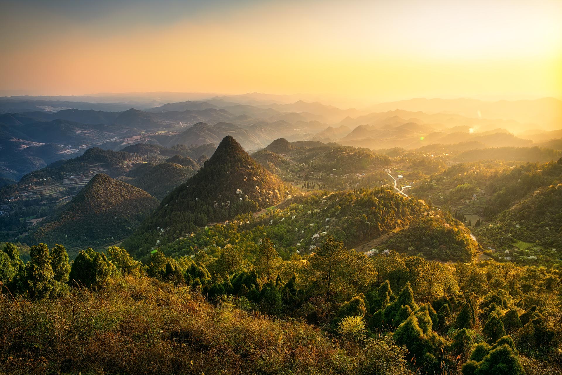 提供：株式会社焦点工房
