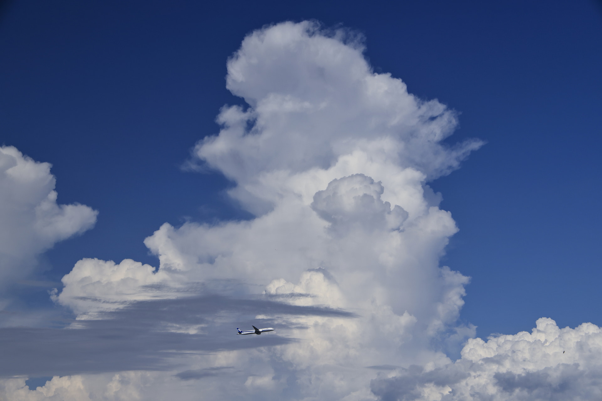 夏の羽田空港にもくもくとわき立つ積乱雲が現れた。この雲の巨大さを表現するために離陸するヒコーキをワンポイントでフレーミング。高画素だからできる画面構成だ<br><span class="fnt-85">キヤノン EOS R5 Mark II／RF24-105mm F4 L IS USM／83mm／絞り優先AE（F8、1/1,600秒、－0.3EV）／ISO 400／WB：オート</span>