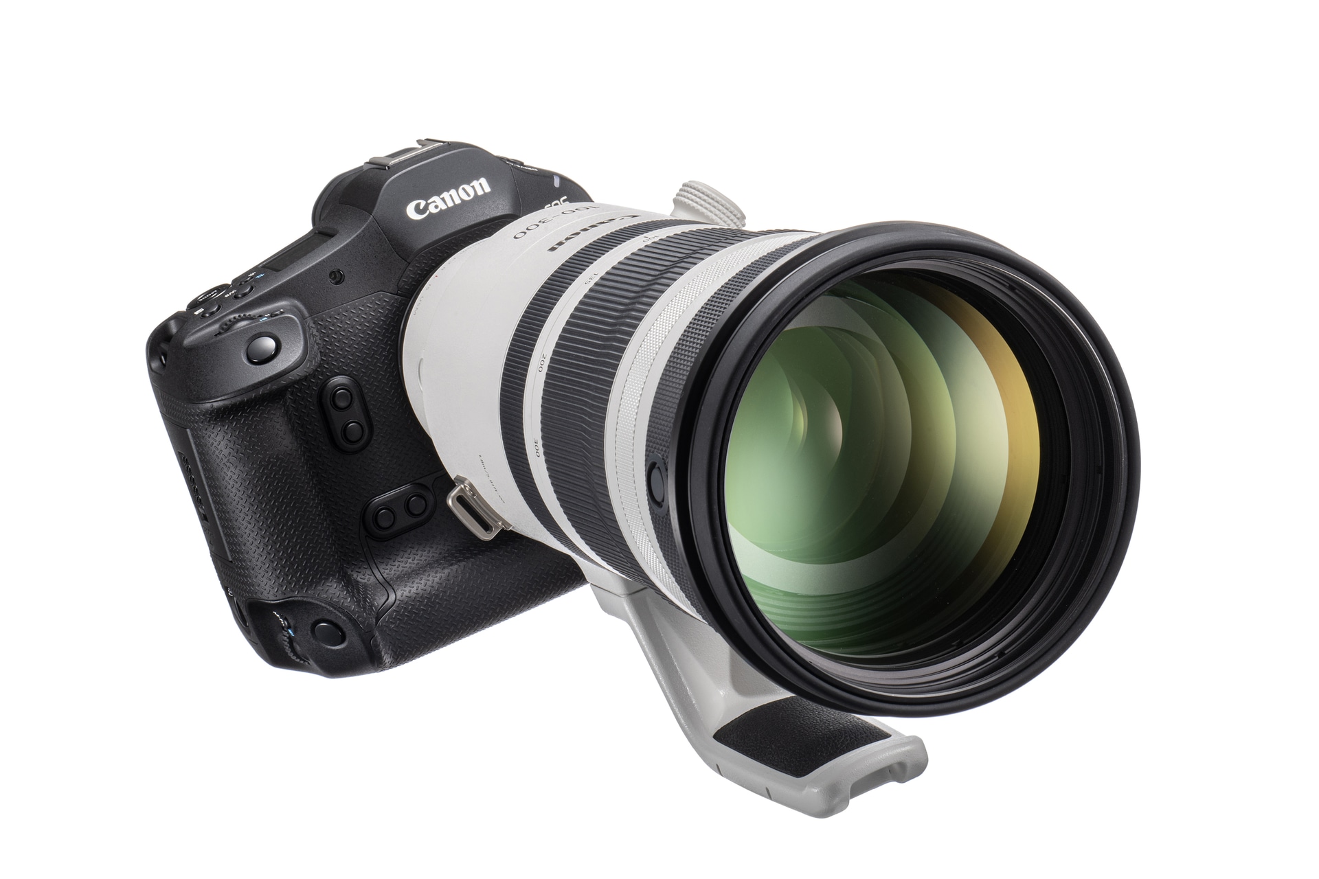 <span class="fnt-110"><b>EOS R1</b></span>