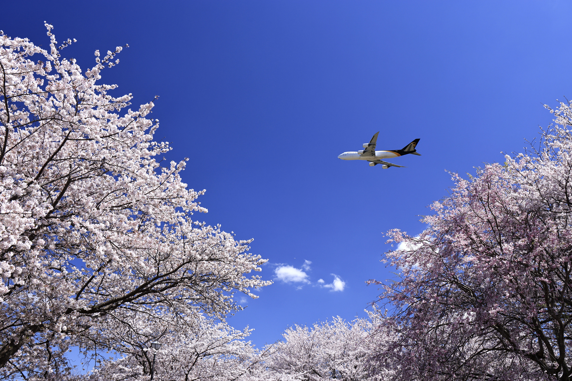 <span class="fnt-85">キヤノン EOS R5 Mark II／RF24-105mm F4 L IS USM／31mm／絞り優先AE（F8、1/500秒、±0EV）／ISO 400／WB：オート</span>