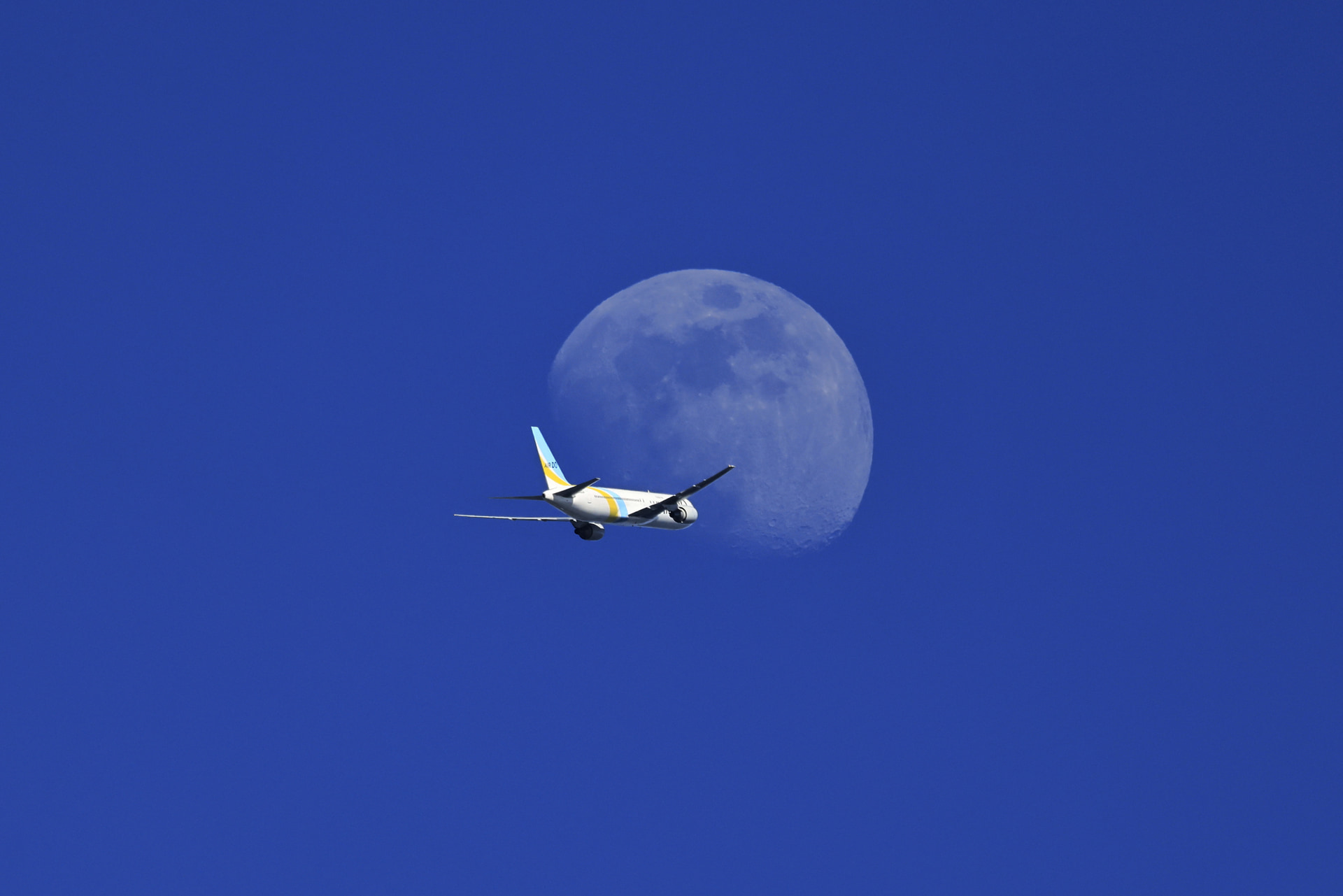 <span class="fnt-85">キヤノン EOS R5 Mark II／RF100-500mm F4.5-7.1 L IS USM／500mm／絞り優先AE（F7.1、1/1,000秒、－0.3EV）／ISO 500／WB：オート／トリミング</span>