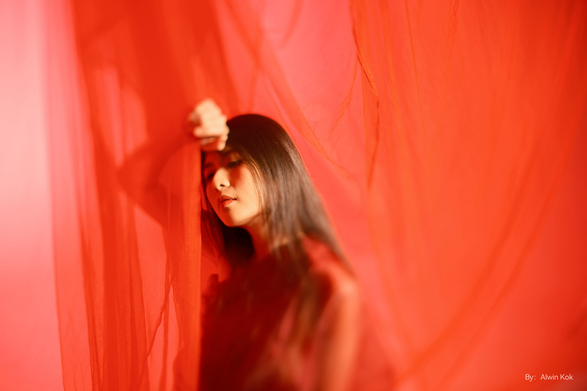 作例提供：株式会社焦点工房