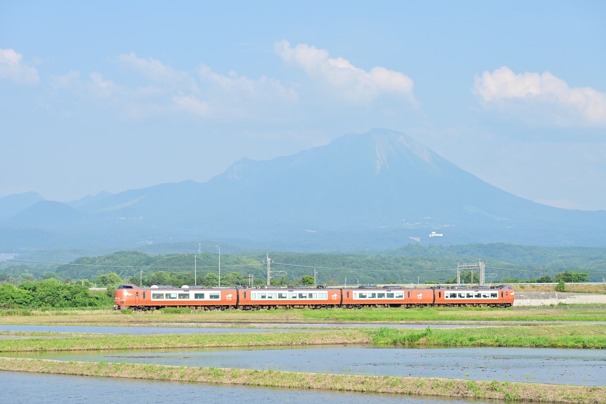 撮影：<a href="https://ganref.jp/m/asuranmama/reviews_and_diaries">坂倉有里</a>さん<br><span class="fnt-85">ニコン Z5II／NIKKOR Z 24-120mm f/4 S／84mm／マニュアル露出（1/1,000秒、F8.0、±0.0EV）／ISO 400</span>