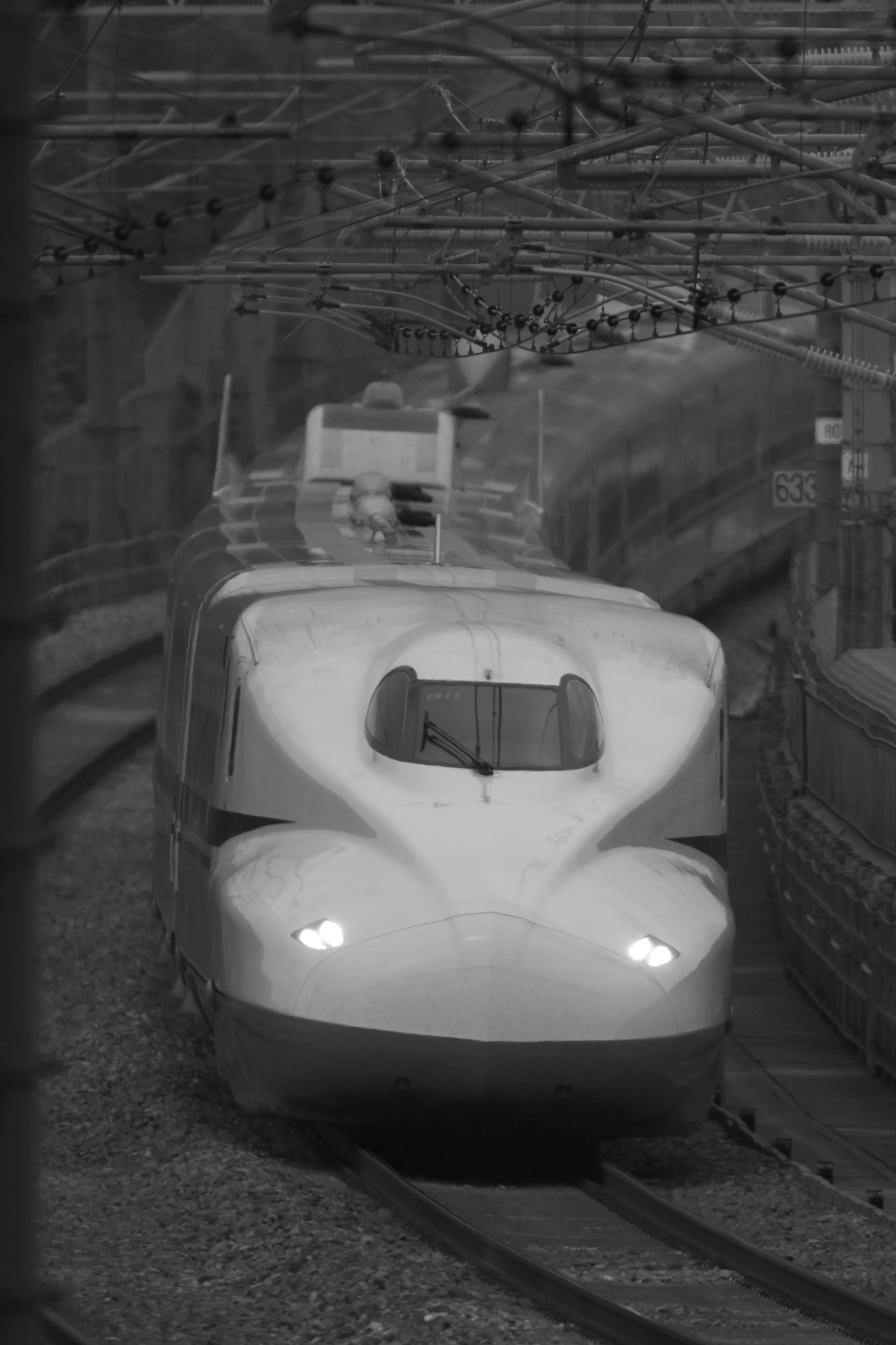 撮影：<a href="https://ganref.jp/m/sasuraibito/reviews_and_diaries">闇夜の流離人</a>さん<br><span class="fnt-85">ニコン Z5II／NIKKOR Z 180-600mm f/5.6-6.3 VR＋TC-2.0x／1,200mm／マニュアル露出（1/1,000秒、F13、±0.0EV）／ISO 1600</span>