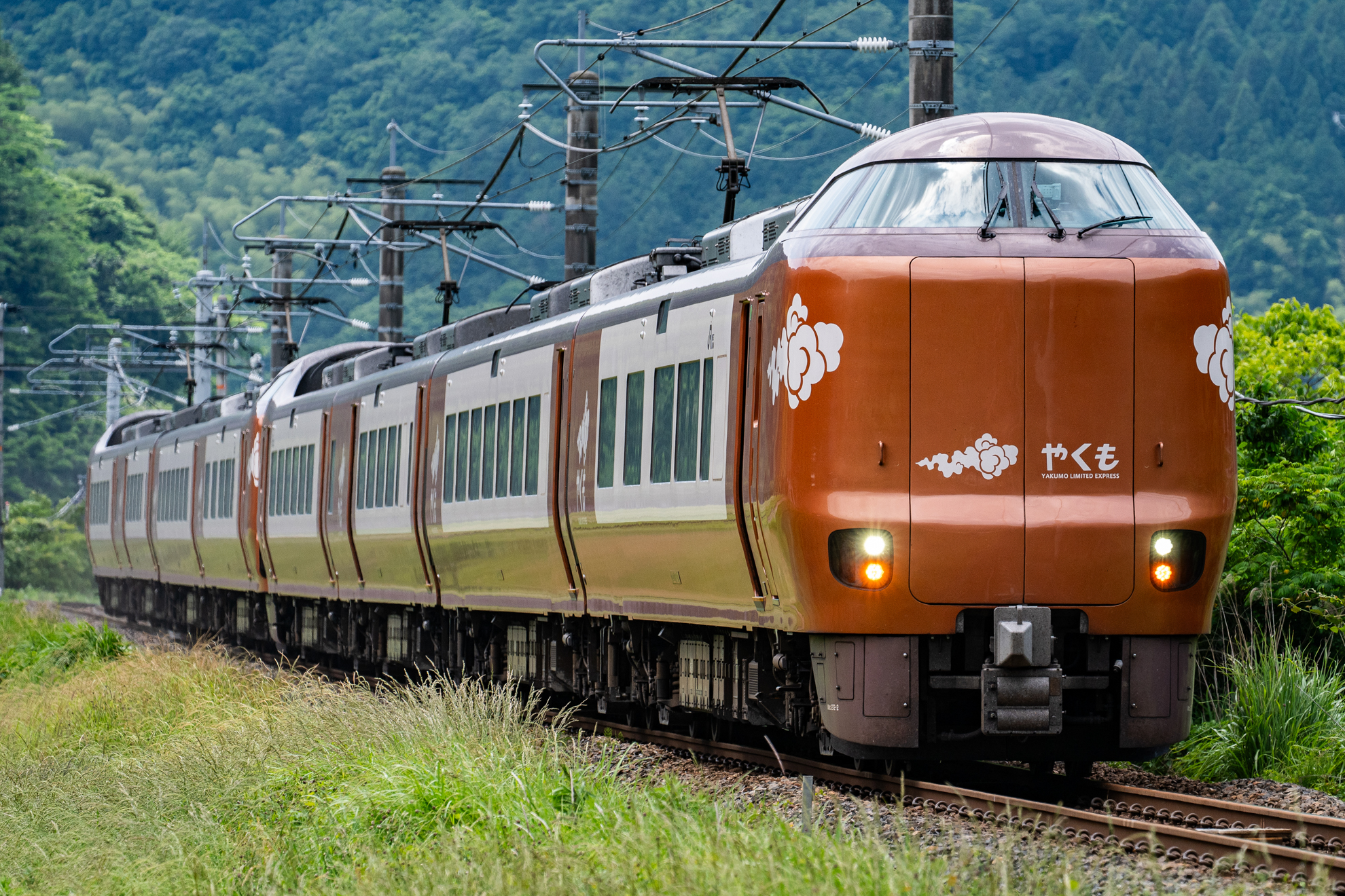 撮影：<a href="https://ganref.jp/m/degumegu/reviews_and_diaries">meguruD</a>さん<br><span class="fnt-85">ニコン Z6III／NIKKOR Z 100-400mm f/4.5-5.6 VR S／150mm／マニュアル露出（1/1,250秒、F8.0、±0.0EV）／ISO 500</span>