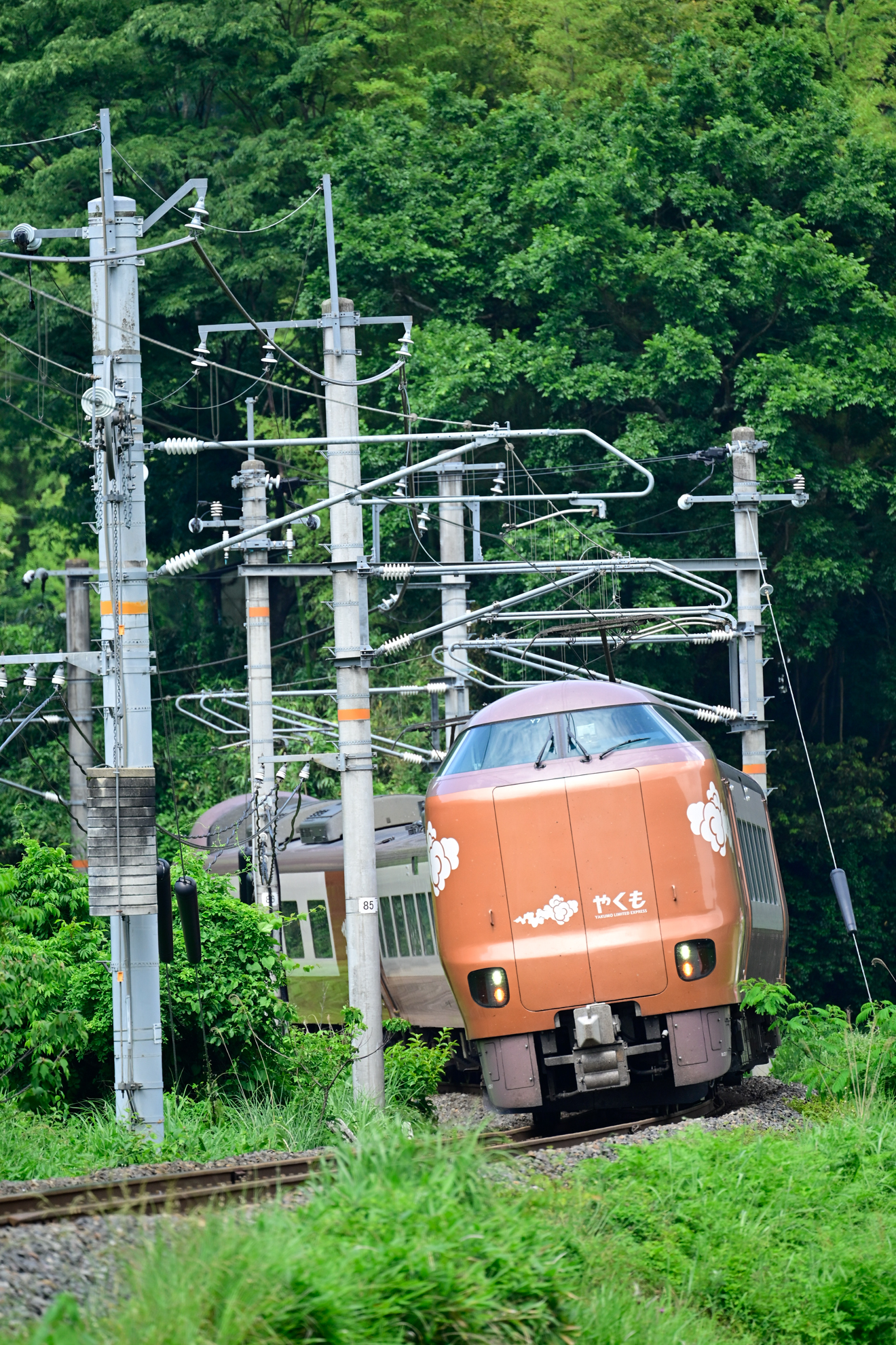 撮影：<a href="https://ganref.jp/m/kight99/reviews_and_diaries">きし</a>さん<br><span class="fnt-85">ニコン Z6III／NIKKOR Z 100-400mm f/4.5-5.6 VR S／400mm／マニュアル露出（1/1,000秒、F5.6、−0.3EV）／ISO 800</span>