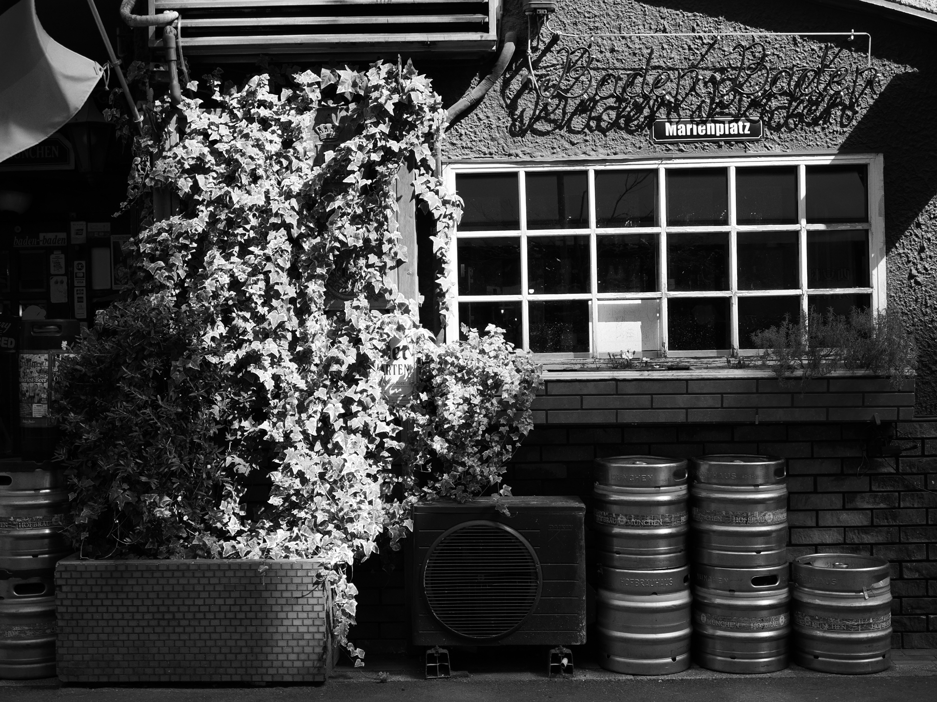 OM SYSTEM OM-3／M.ZUIKO DIGITAL ED 12-45mm F4.0 PRO／25mm（50mm相当）／絞り優先AE（1/400秒、F4.0、±0.0EV）／ISO 200