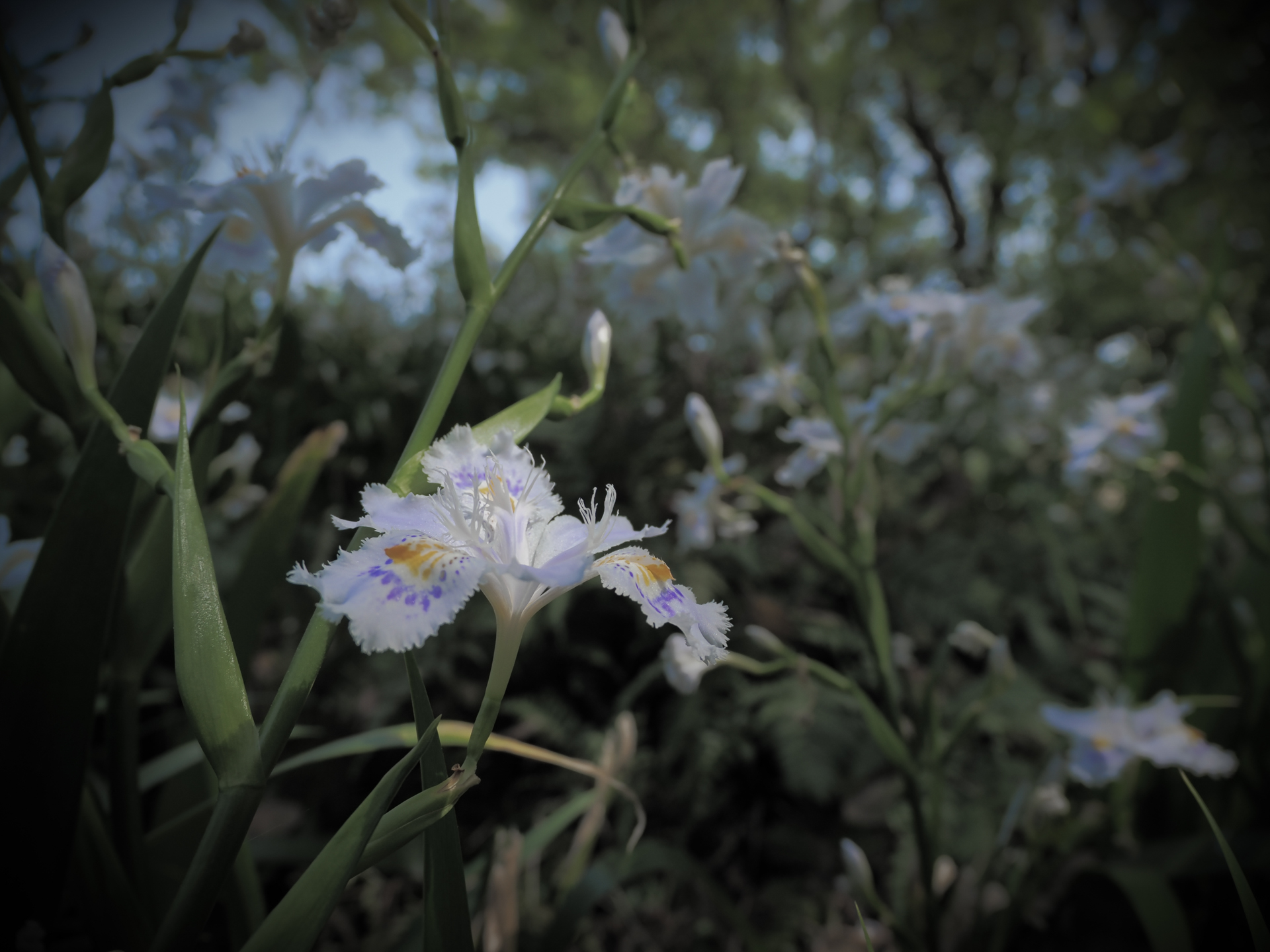 OM SYSTEM OM-3／M.ZUIKO DIGITAL ED 12-45mm F4.0 PRO／12mm（24mm相当）／絞り優先AE（1/800秒、F4.0、−1.0EV）／ISO 200