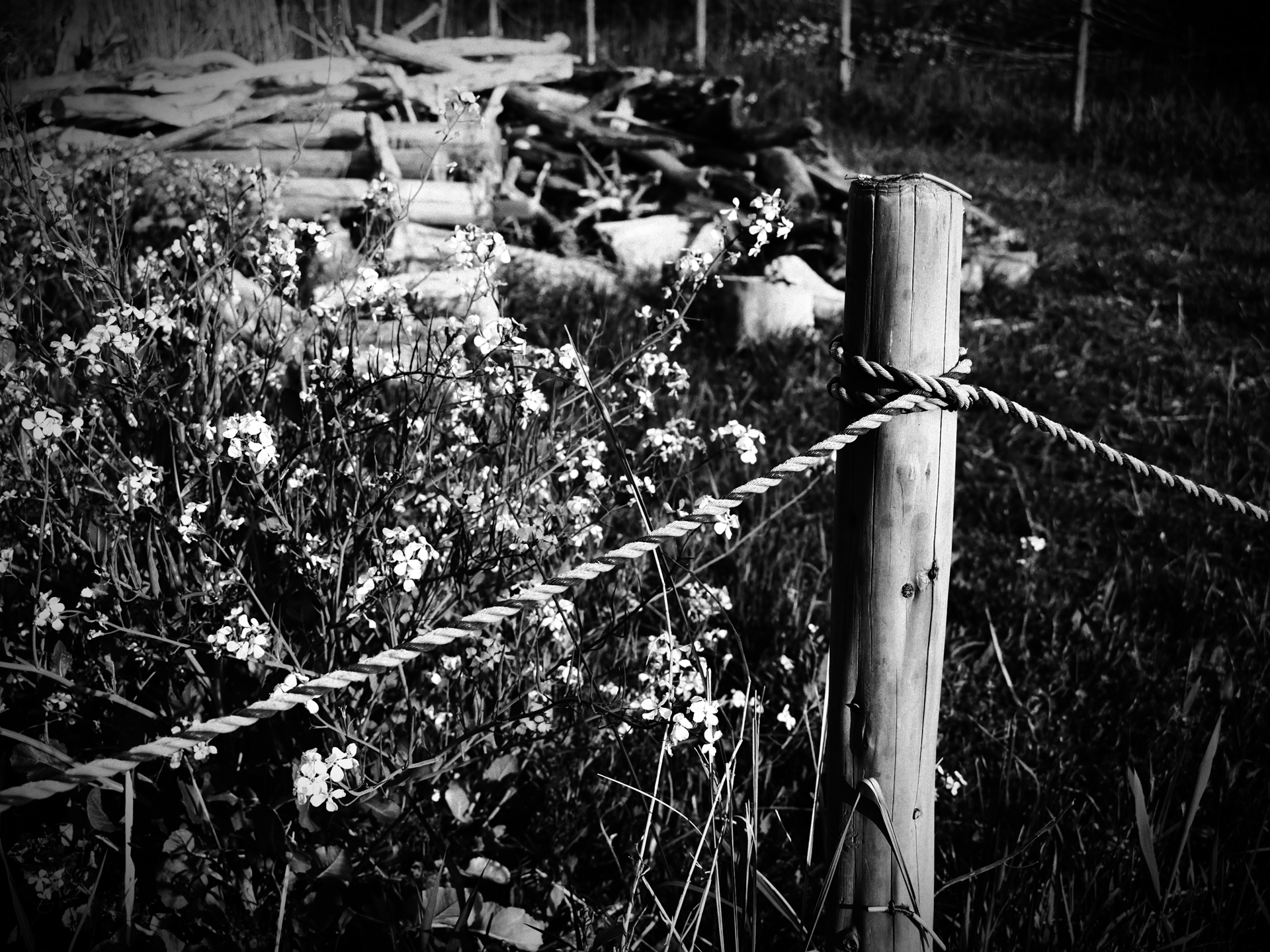 OM SYSTEM OM-3／M.ZUIKO DIGITAL ED 12-45mm F4.0 PRO／24mm（48mm相当）／絞り優先AE（1/1,250秒、F4.0、−0.3EV）／ISO 200