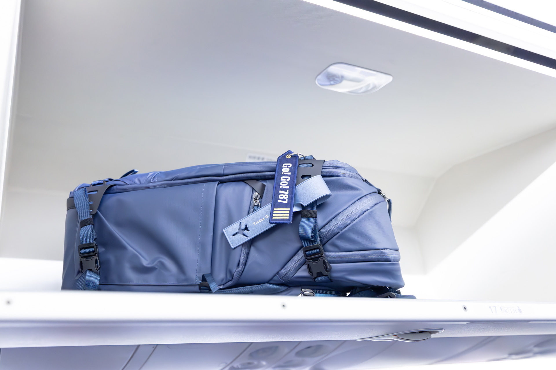 高い位置にある手荷物入れから下ろしやすい