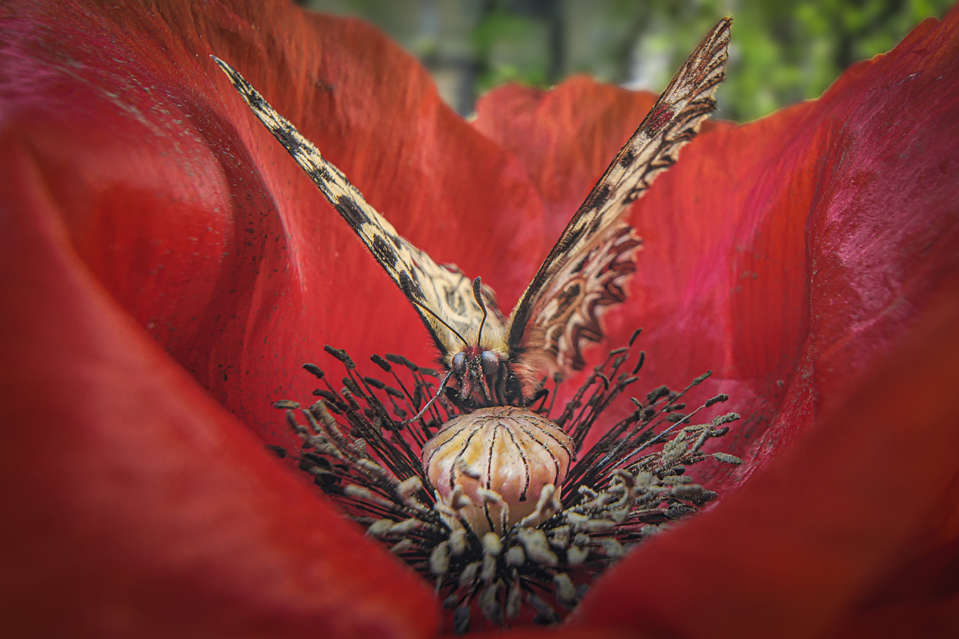 作例提供：株式会社サイトロンジャパン