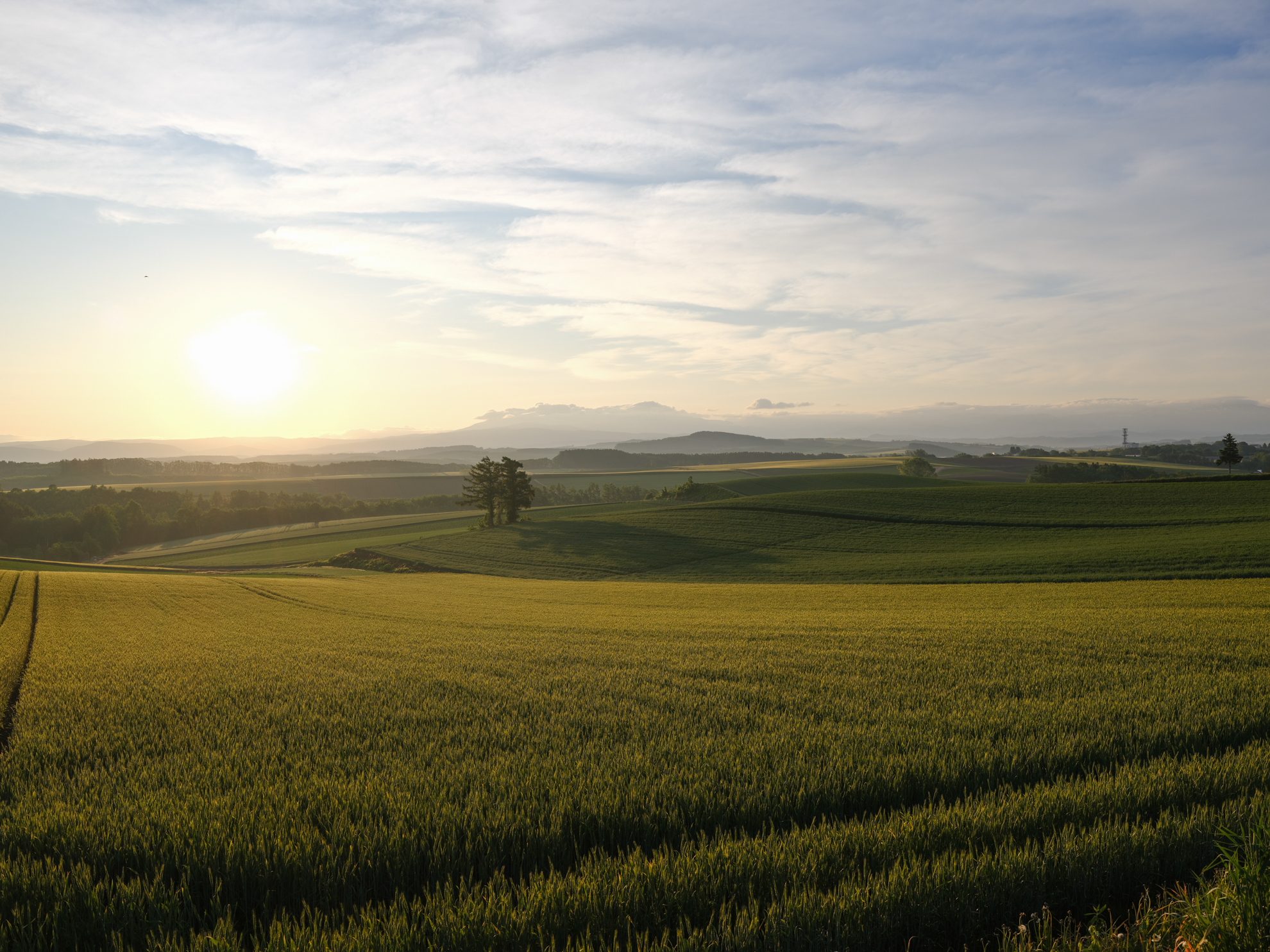 その日の始まりを告げる太陽が麦畑を黄金色に染める。チャンスタイムはそう長くないので事前に撮影したいポイントを決めておきたい<br><span class="fnt-85">FUJIFILM GFX100RF／35mm（28mm相当）／絞り優先AE（1/280秒、F5.6、−0.3EV）／ISO 80</span>