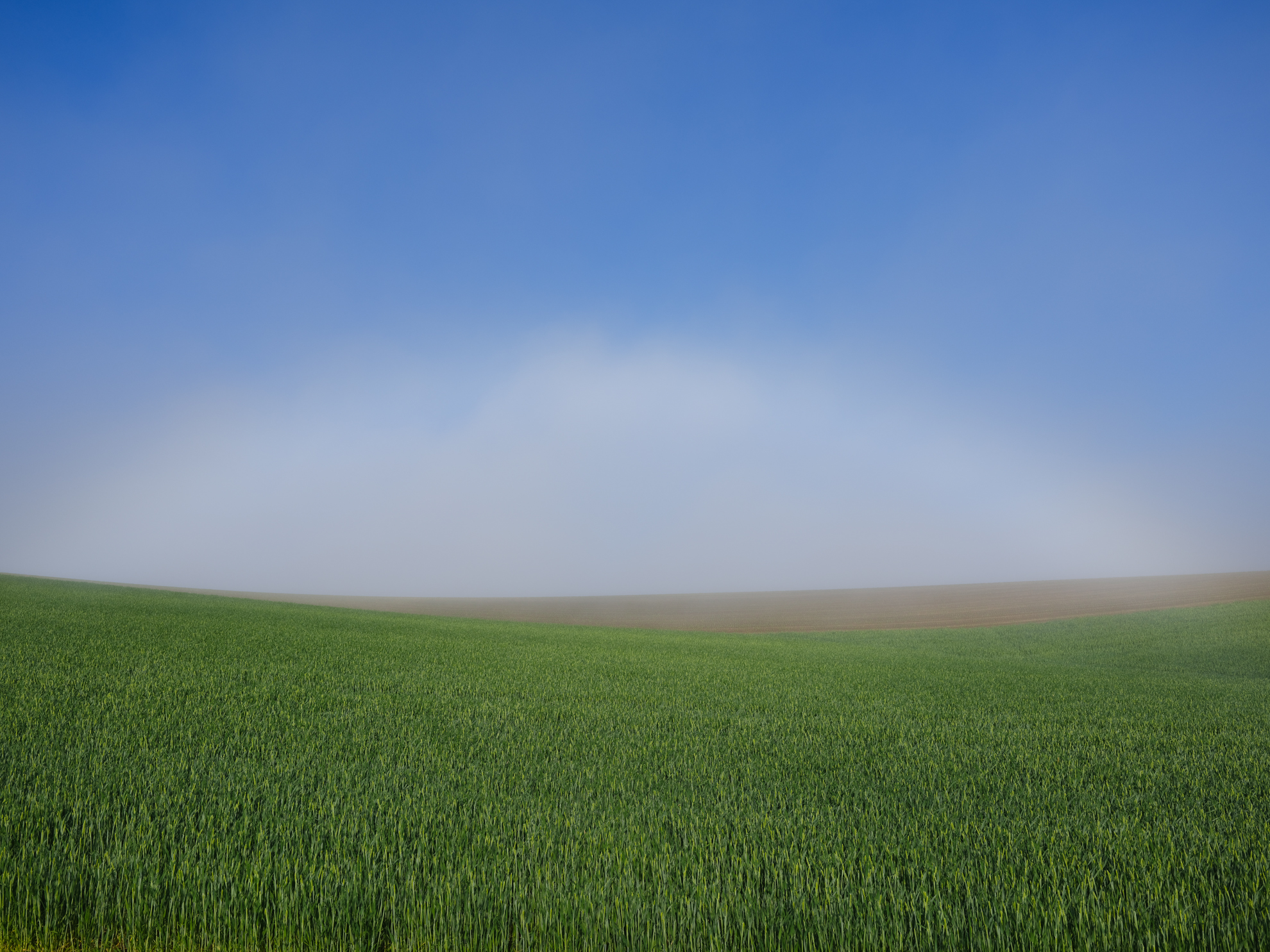 前夜から晴れて放射冷却で気温が下がった朝は霧が発生しやすい。霧が晴れる直前に発生するのが白虹だ。雨粒より小さな粒子により7色ではなく白く見える<br><span class="fnt-85">FUJIFILM GFX100RF／35mm（28mm相当）／絞り優先AE（1/480秒、F5.6、−0.3EV）／ISO 80</span>