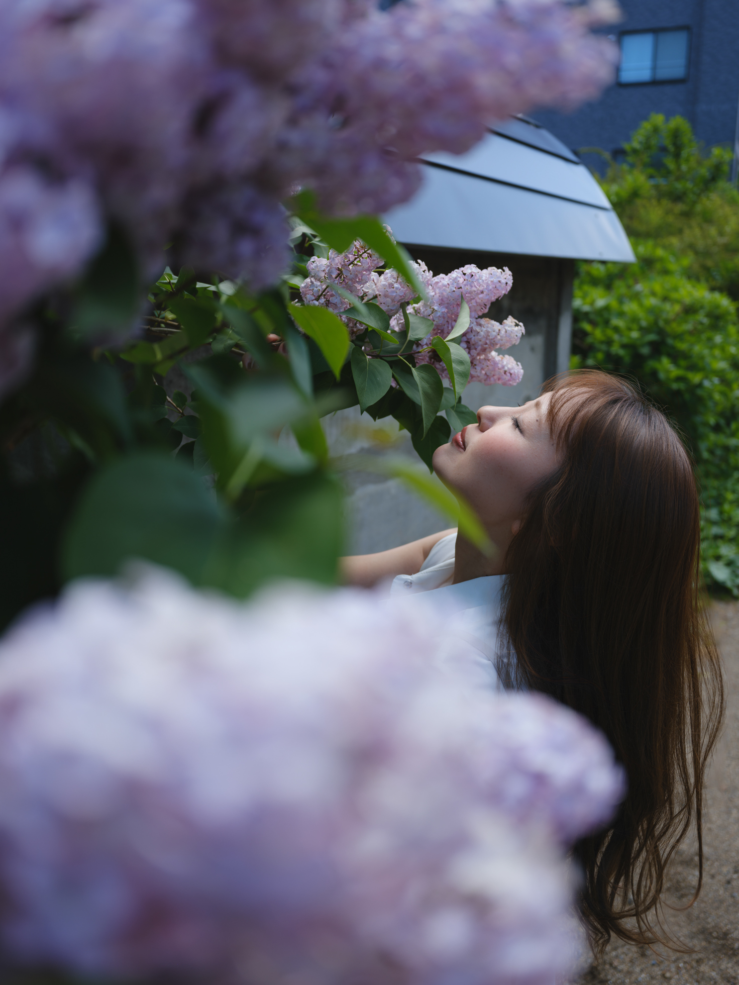 北海道の初夏の花といえばライラック。一瞬、陽が隠れたタイミングの柔らかな光で前ボケと絡めた。さすがGFXといえる極上のボケと解像感で撮影できた<br><span class="fnt-85">FUJIFILM GFX100RF／35mm（28mm相当）／絞り優先AE（1/210秒、F4.0、±0.0EV）／ISO 80</span>