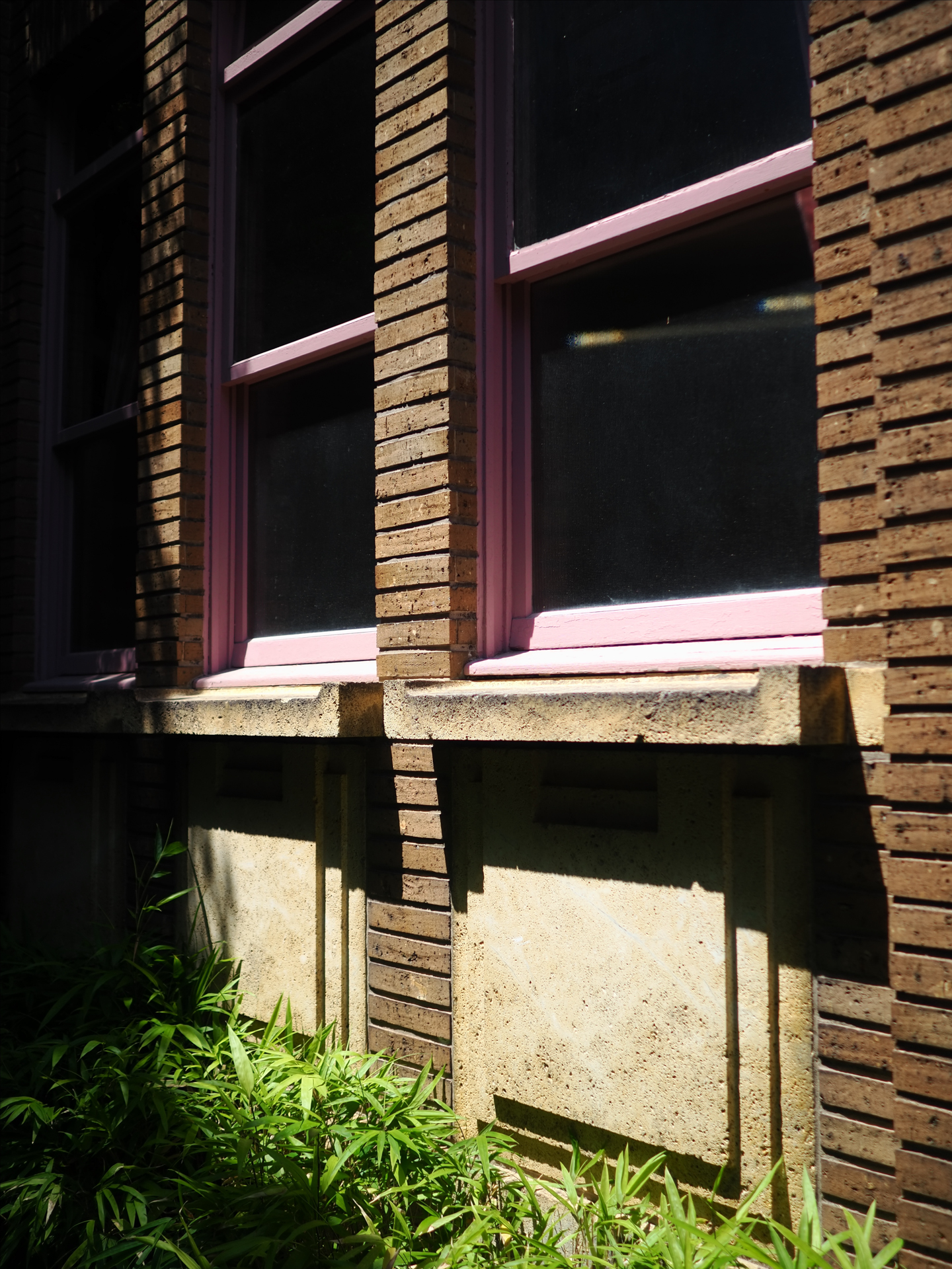 OM SYSTEM OM-3／ M.ZUIKO DIGITAL 17mm F1.8 II／絞り優先AE（1/2,500秒、F1.8、+0.3EV）／ISO 200