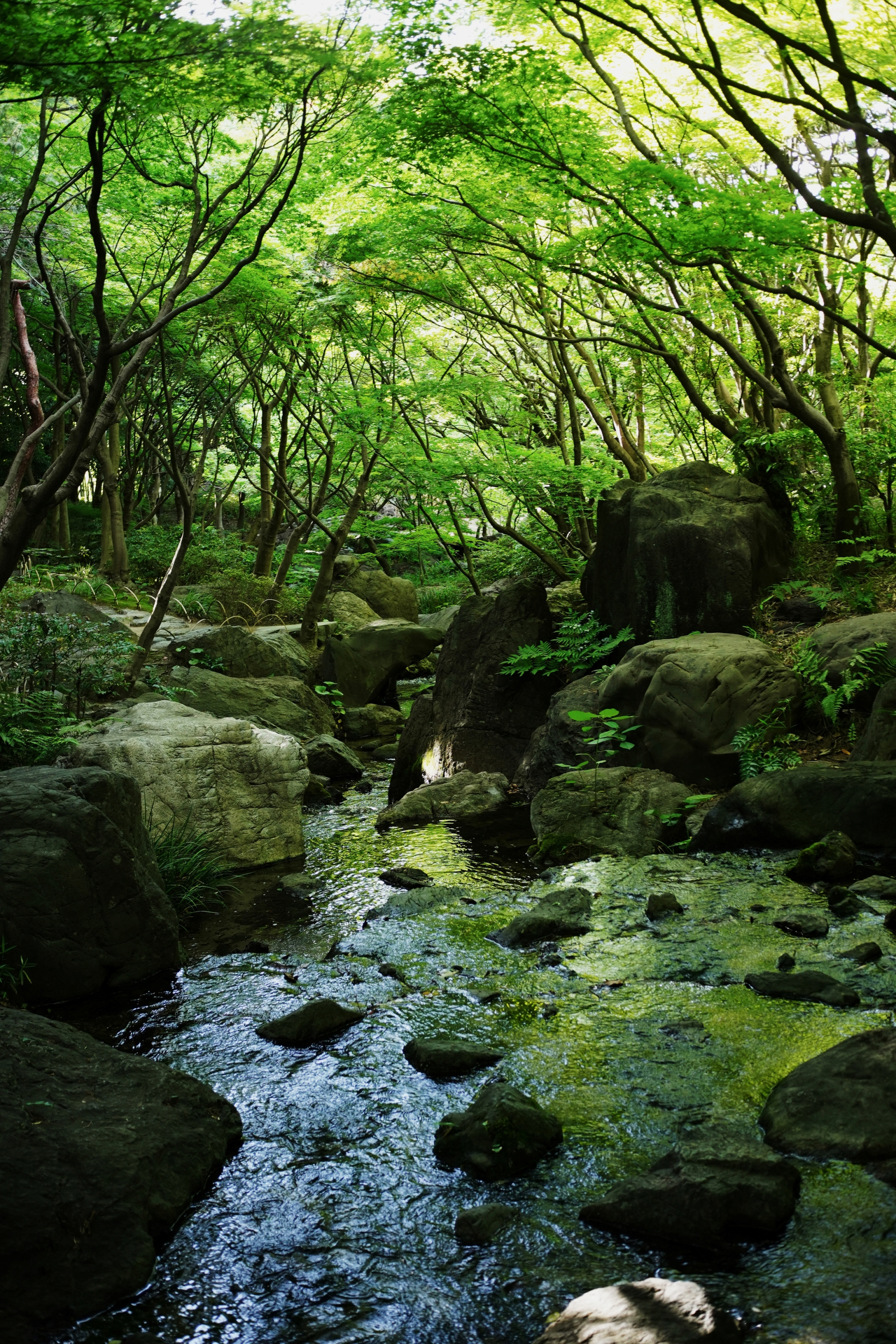 画像提供：株式会社焦点工房