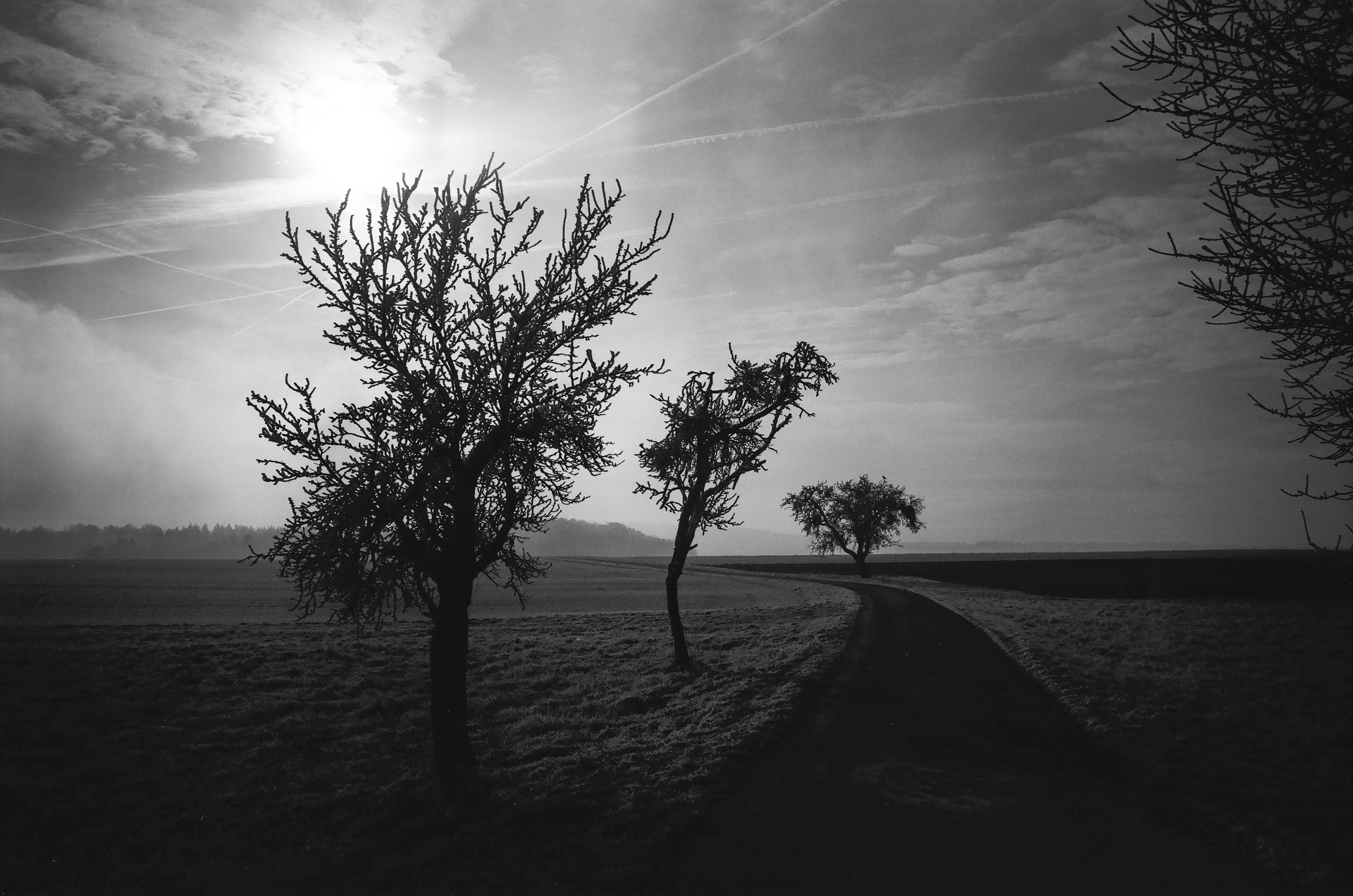 画像提供：ライカカメラ社