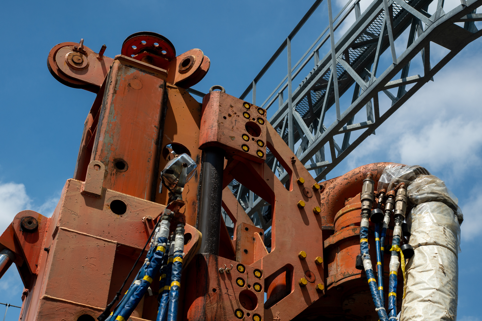 目視ではクモリはないように見える個体ですが、この条件ではヌケがいまひとつ。50mmって意外に深度浅いなあという印象です。<br><span class="fnt-85">ニコン Df／ニッコールH・Cオート50mm F2／F8</span>