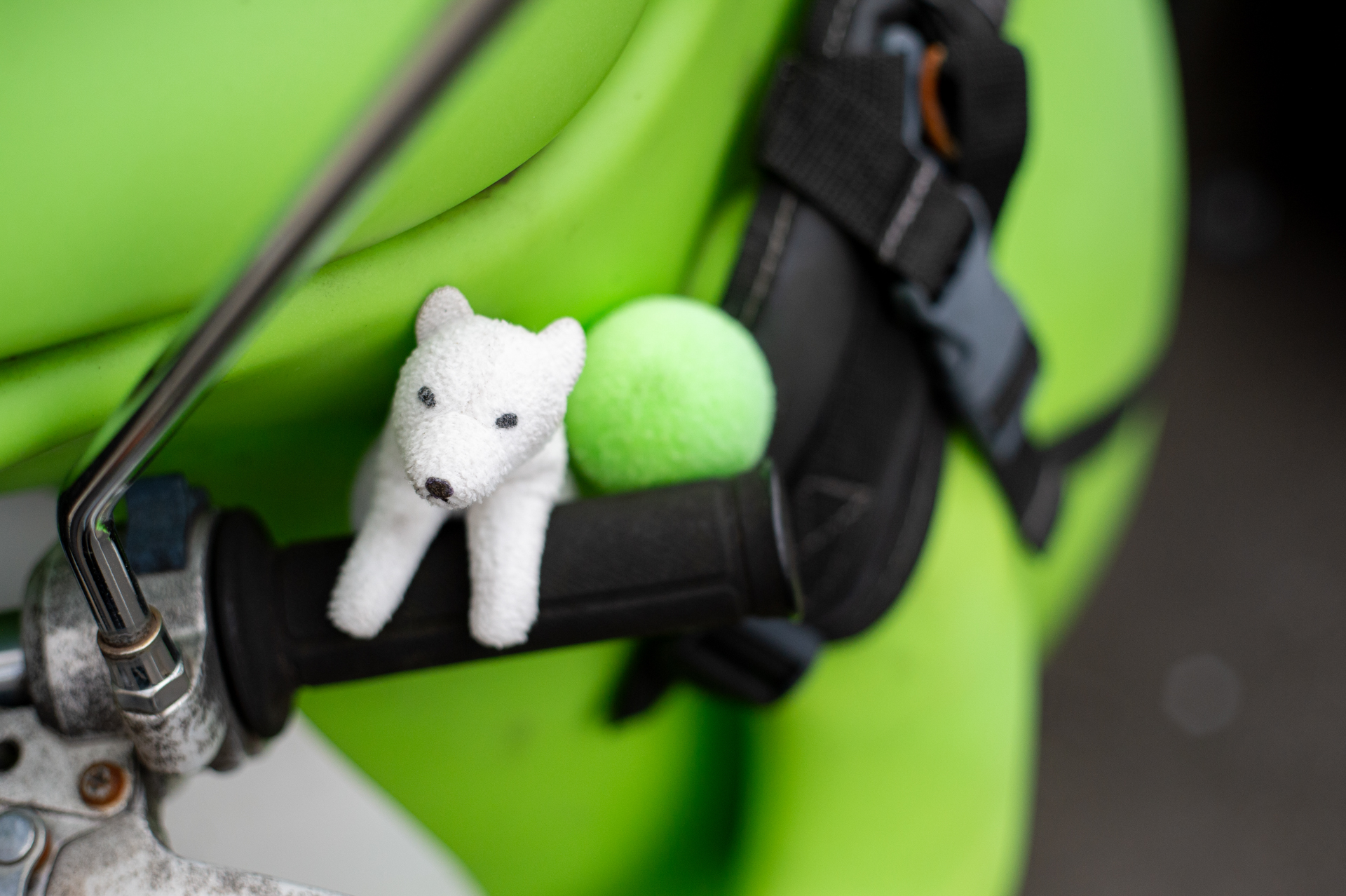 最短撮影距離だと条件にもよりますが、ハイライトにわずかなハロを感じますね。2段ほど絞ると消失するようです。<br><span class="fnt-85">ニコン Df／Aiニッコール50mm F2／F2.8</span>