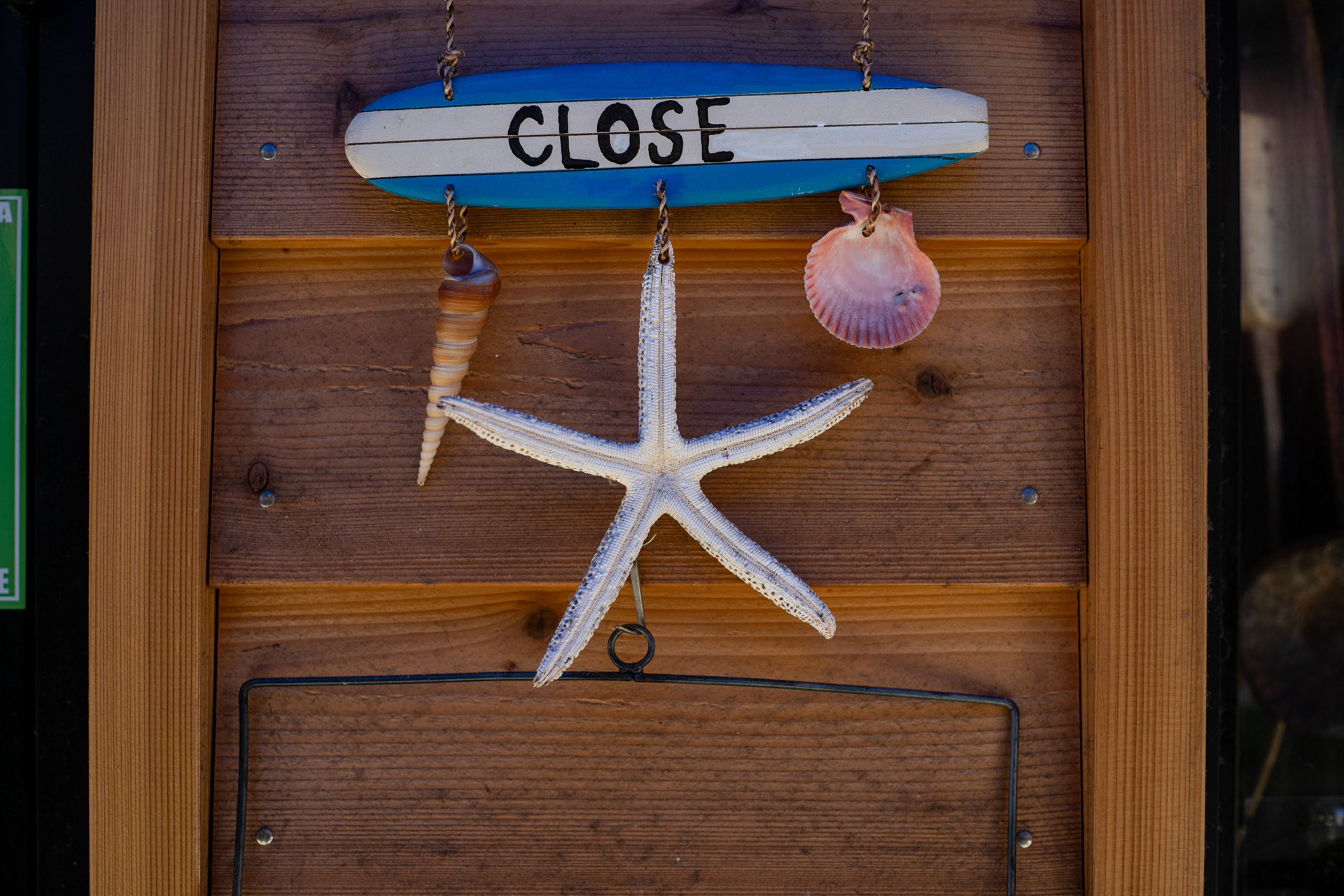 この条件ではわずかなタル型の歪曲収差を感じます。中央の描写はすばらしくシャープです。<br><span class="fnt-85">ニコン Z5II／ニッコールHオート50mm F2／F4</span>