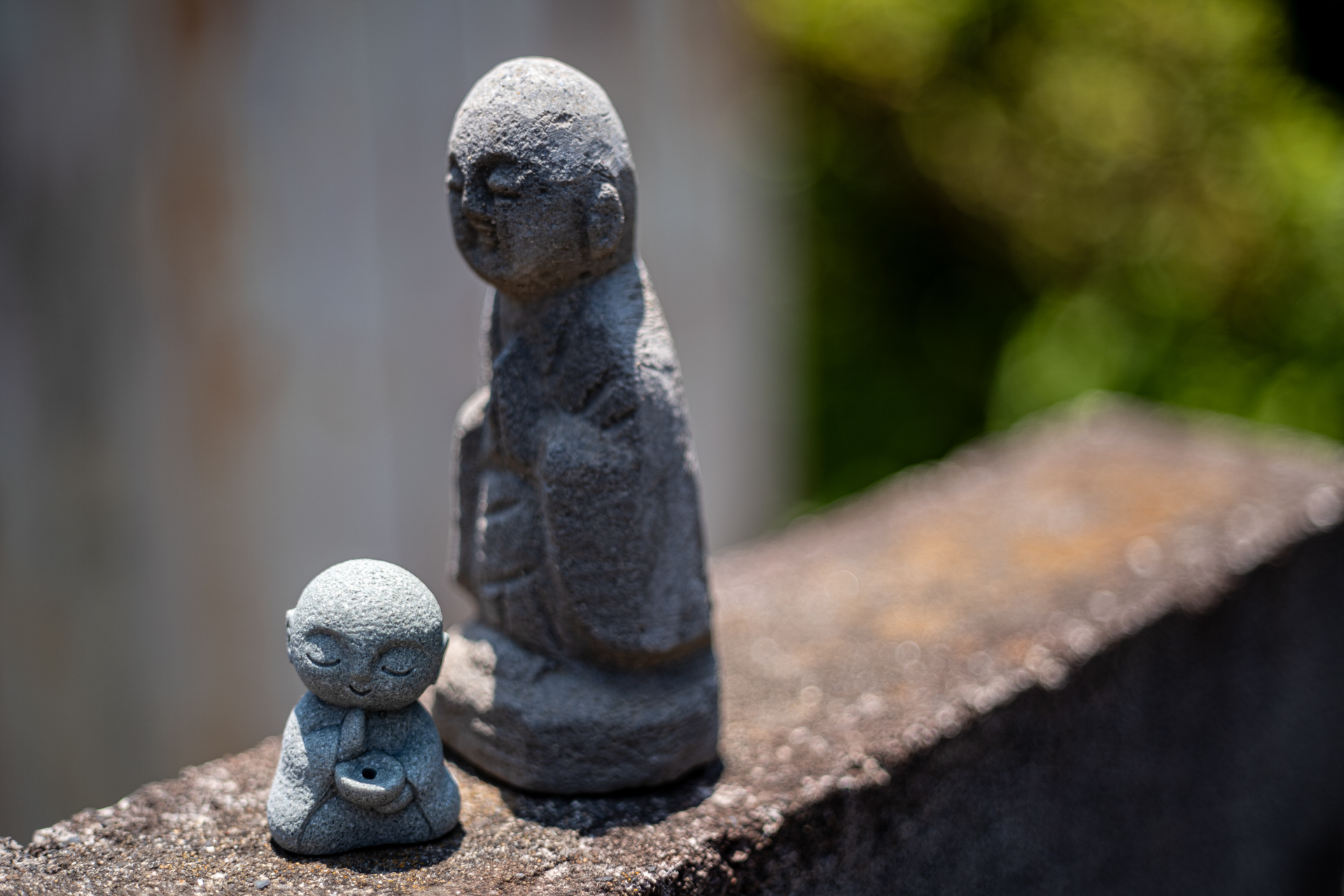 最短撮影距離0.45mで開放絞り。やはり少しユルい描写です。合焦点を明確にするには1段ほど絞り込みたいところ。ボケはよい感じでした。<br><span class="fnt-85">ニコン Z5II／Aiニッコール50mm F2／F2.0</span>