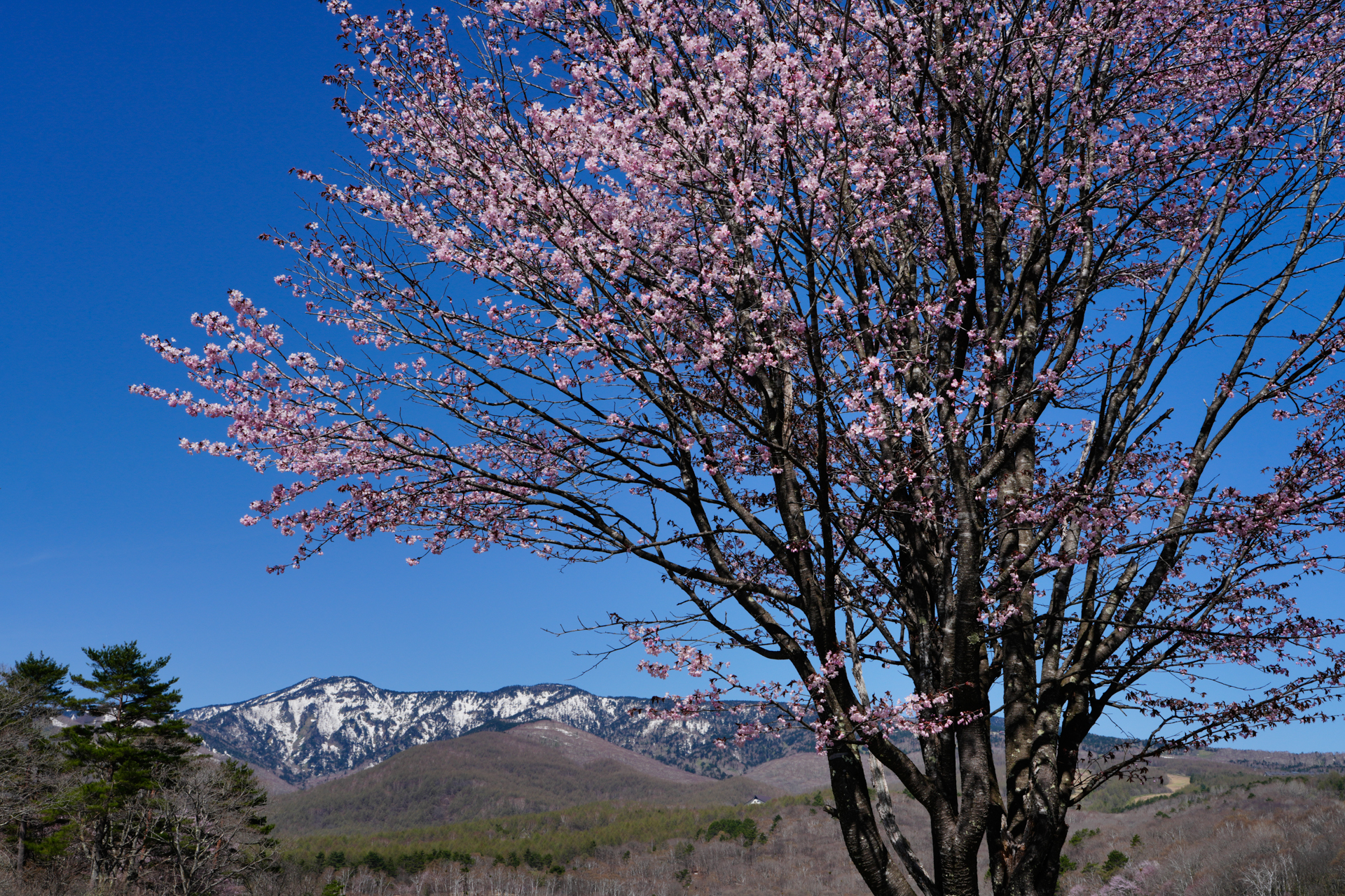 撮影：萩原れいこ<br><span class="fnt-85">ソニー α7R V／FE 28-70mm F2 GM／33mm／絞り優先AE（1/200秒、F16、−1.3EV）／ISO 100</span>