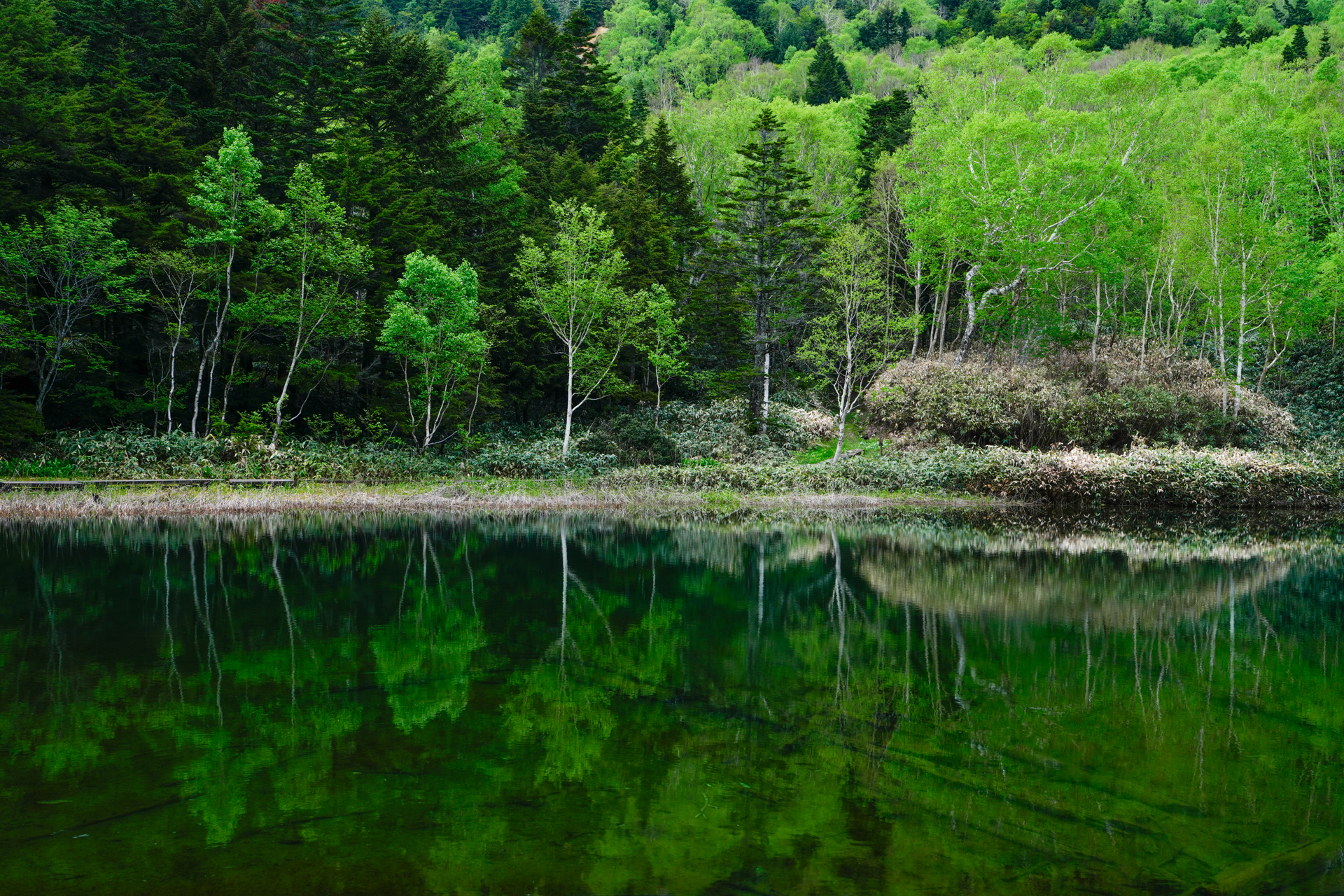 撮影：萩原れいこ<br><span class="fnt-85">ソニー α7R V／FE 28-70mm F2 GM／37mm／絞り優先AE（1/13秒、F8.0、−1.7EV）／ISO 200</span>