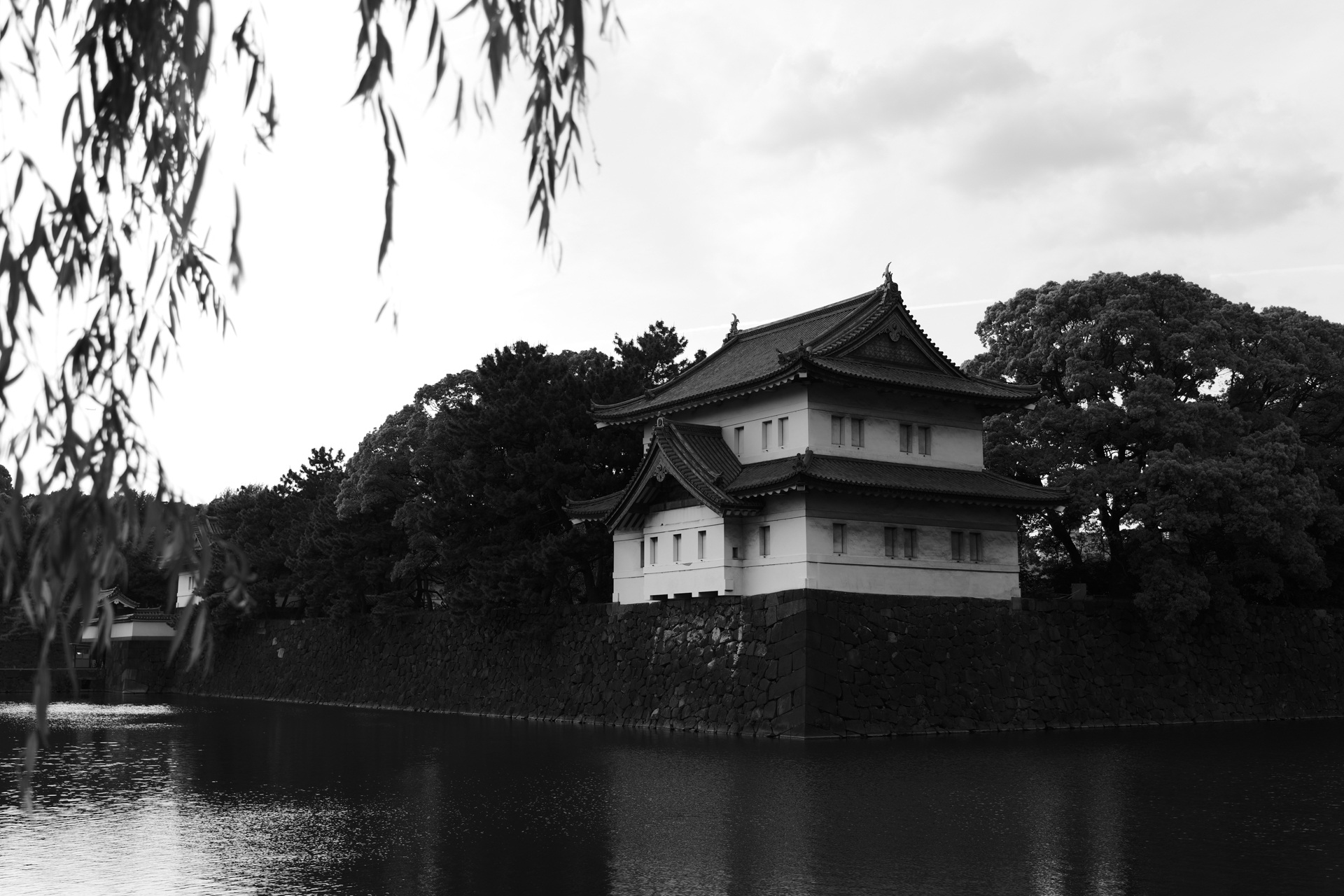 パナソニック LUMIX S1II／LUMIX S 24-105mm F4 MACRO O.I.S.／39mm／絞り優先AE（1/320秒、F4.0、−0.7EV）／ISO 100