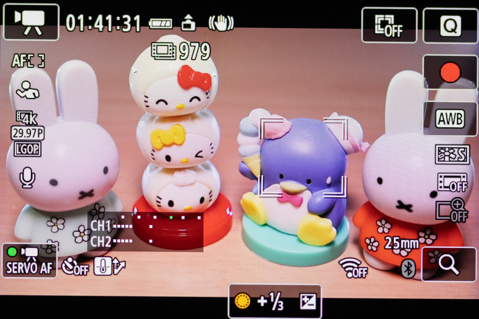 動画の撮影画面