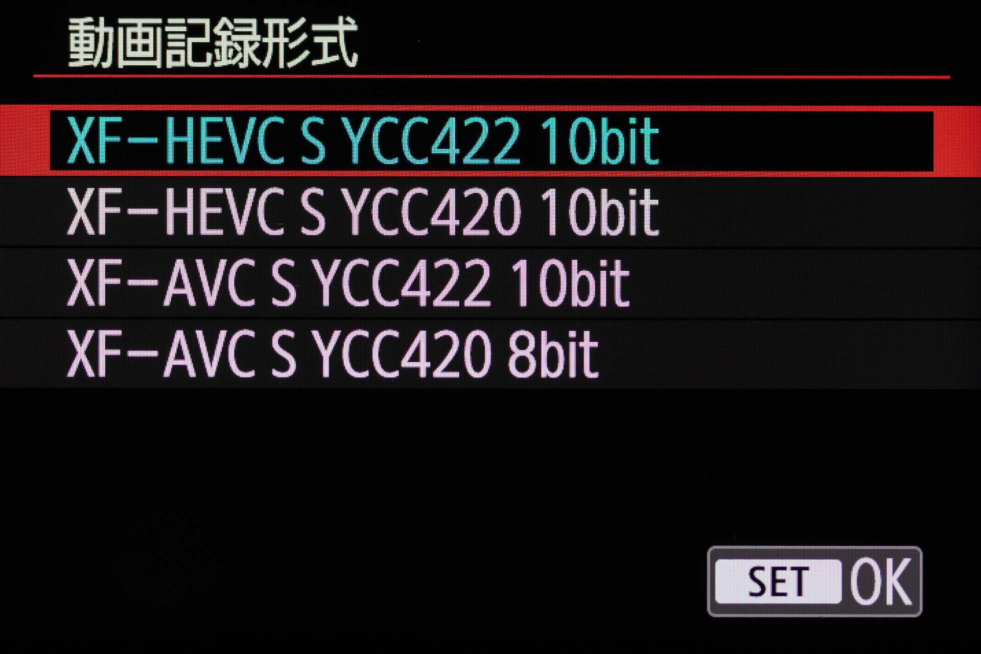 動画記録形式の設定画面